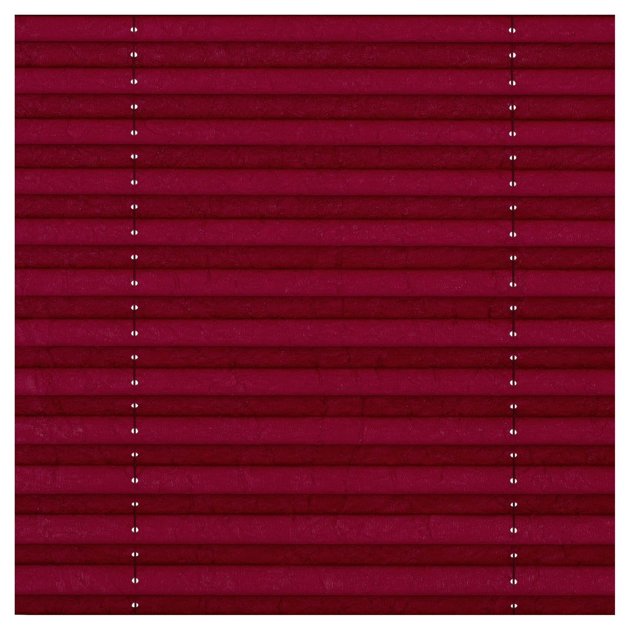 LICHTBLICK Spannplissee brombeer B/L: ca. 55x130 cm