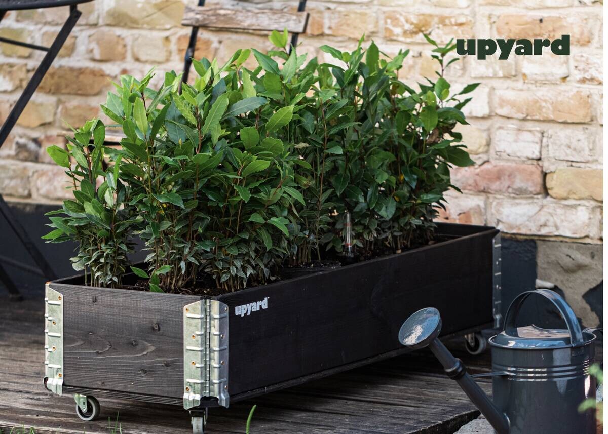 UPYARD Kräuterkasten INDUSTRIAL schwarz Holz B/L: ca. 30x80 cm