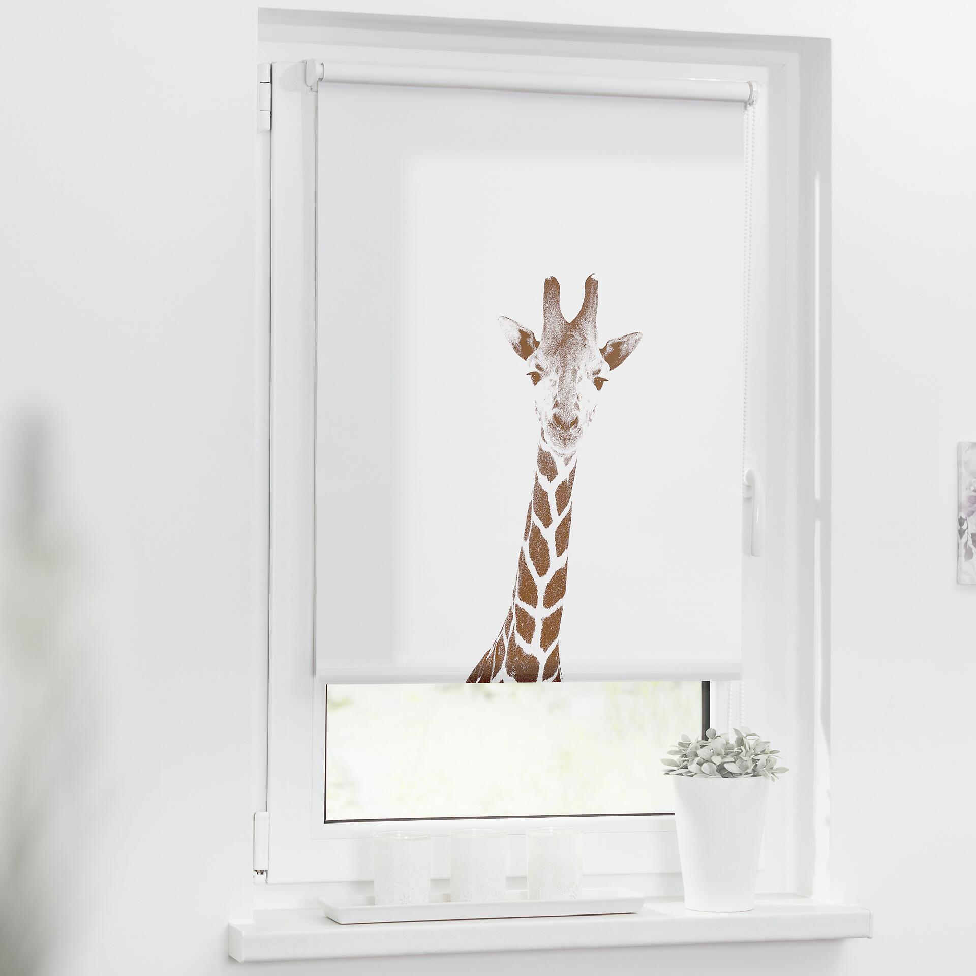 LICHTBLICK Verdunkelungsrollo Giraffe braun B/L: ca. 45x150 cm