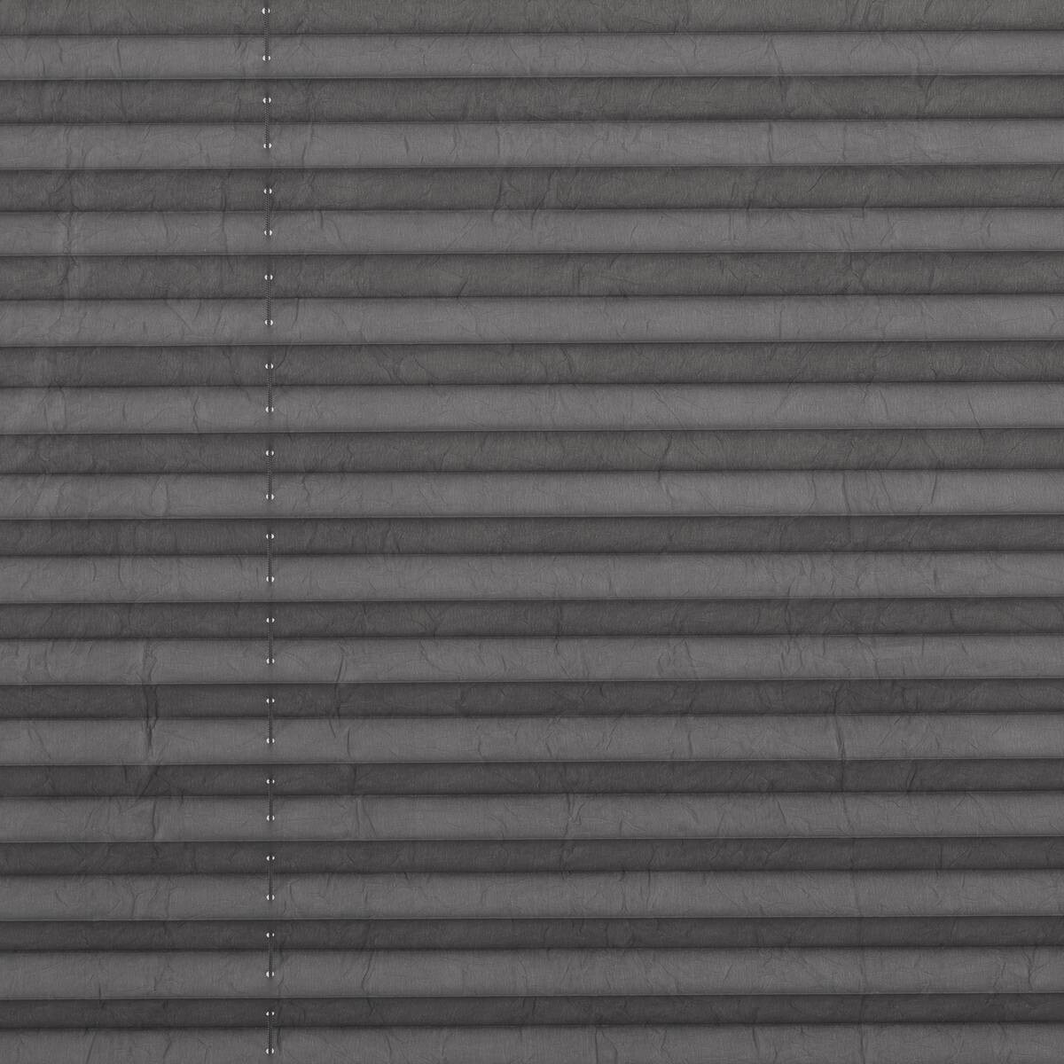 LICHTBLICK Spannplissee hellgrau B/L: ca. 95x130 cm