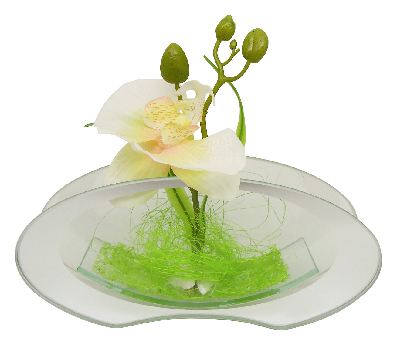 POCOline Vase klar Glas B/H/L: ca. 4,5x9,5x20 cm