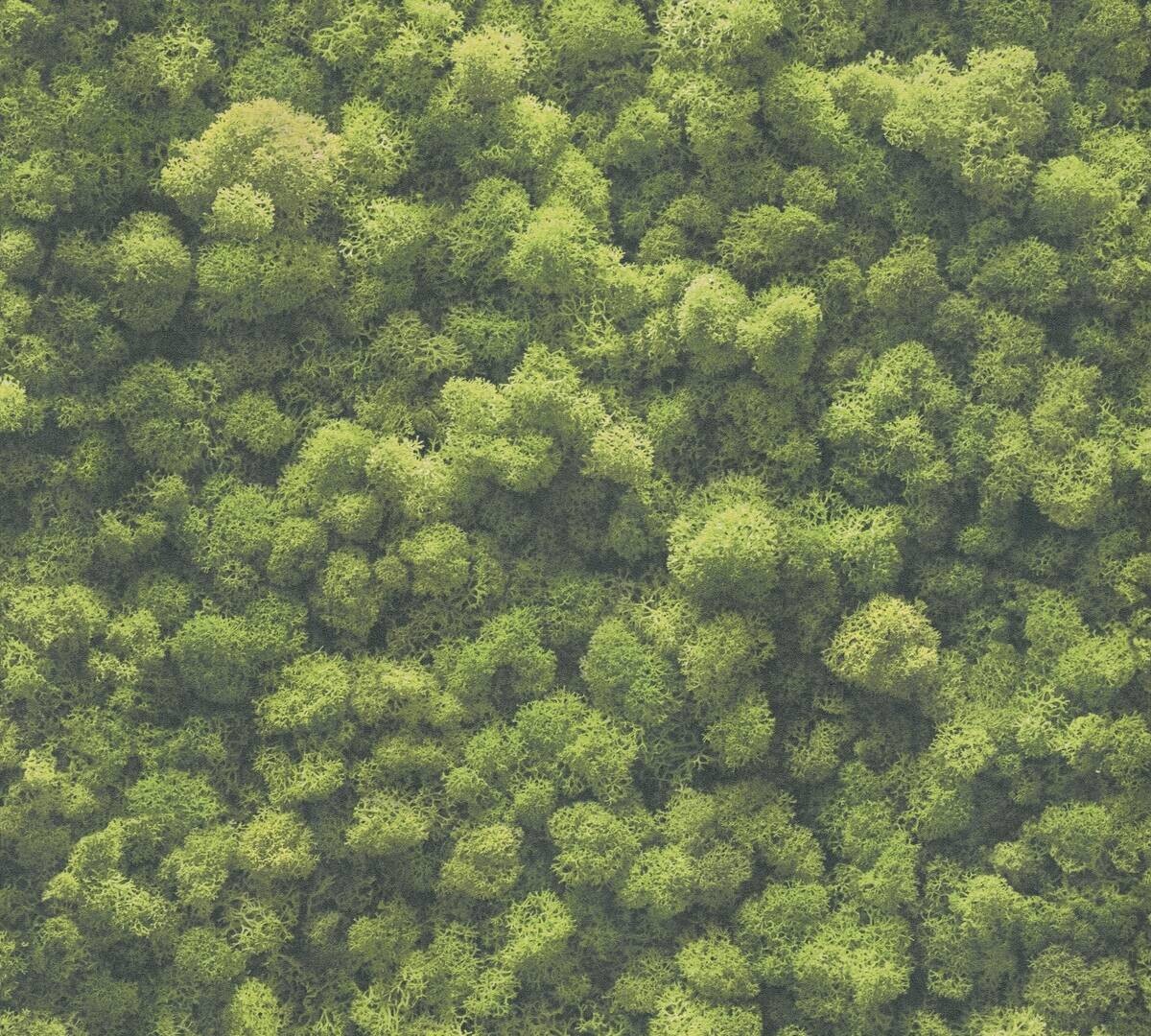 A.S.Creation Vliestapete grün B/H/D: ca. 53x1005x8 cm