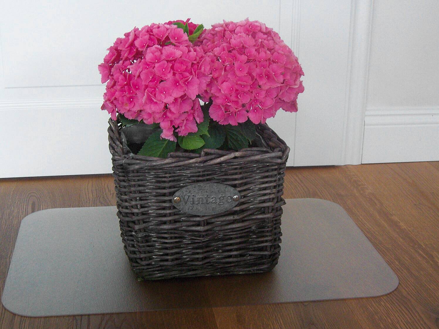 Bodenschutzmatte transparent B/L: ca. 91x121 cm