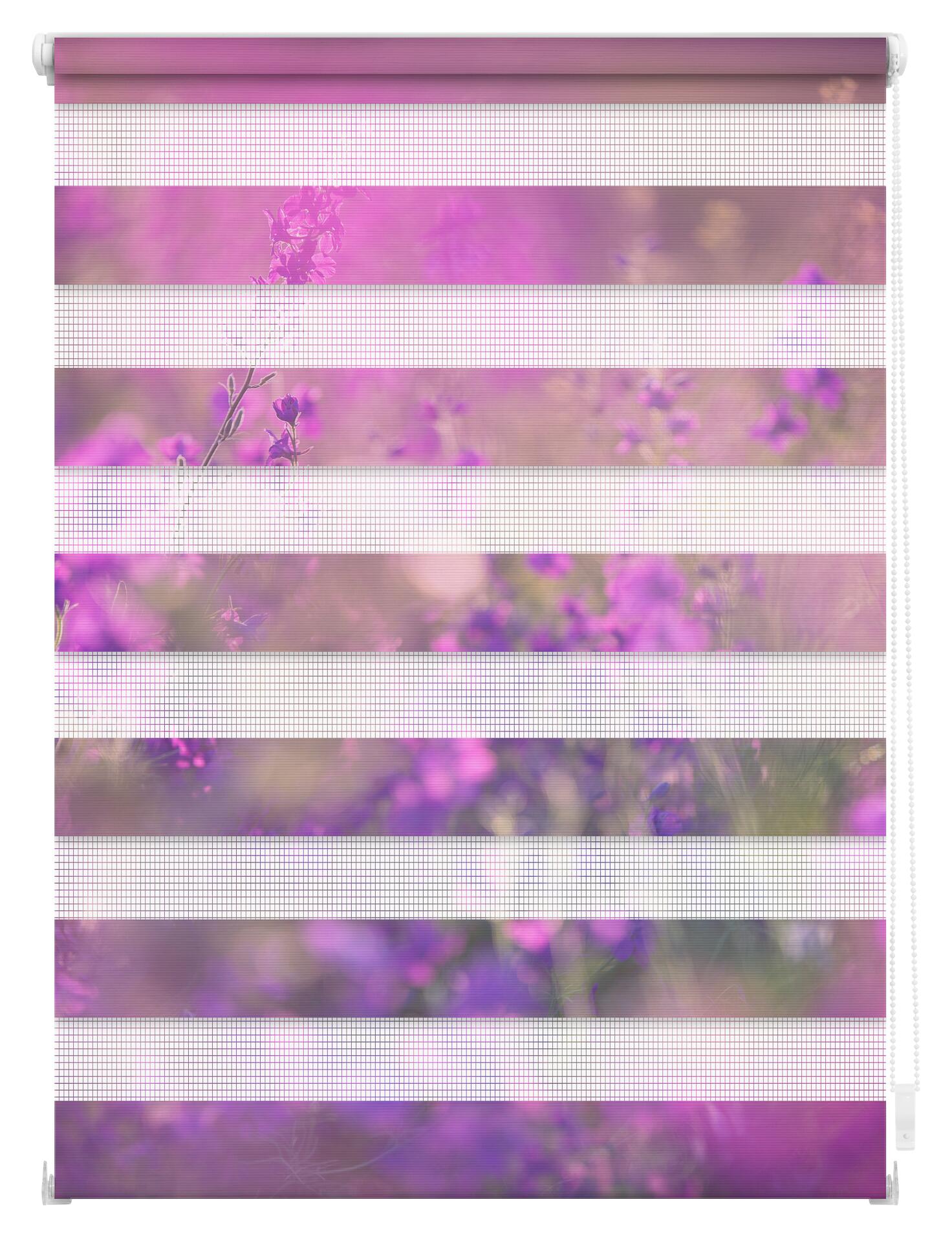 LICHTBLICK Doppelrollo Duo Blumenwiese violett B/L: ca. 70x150 cm