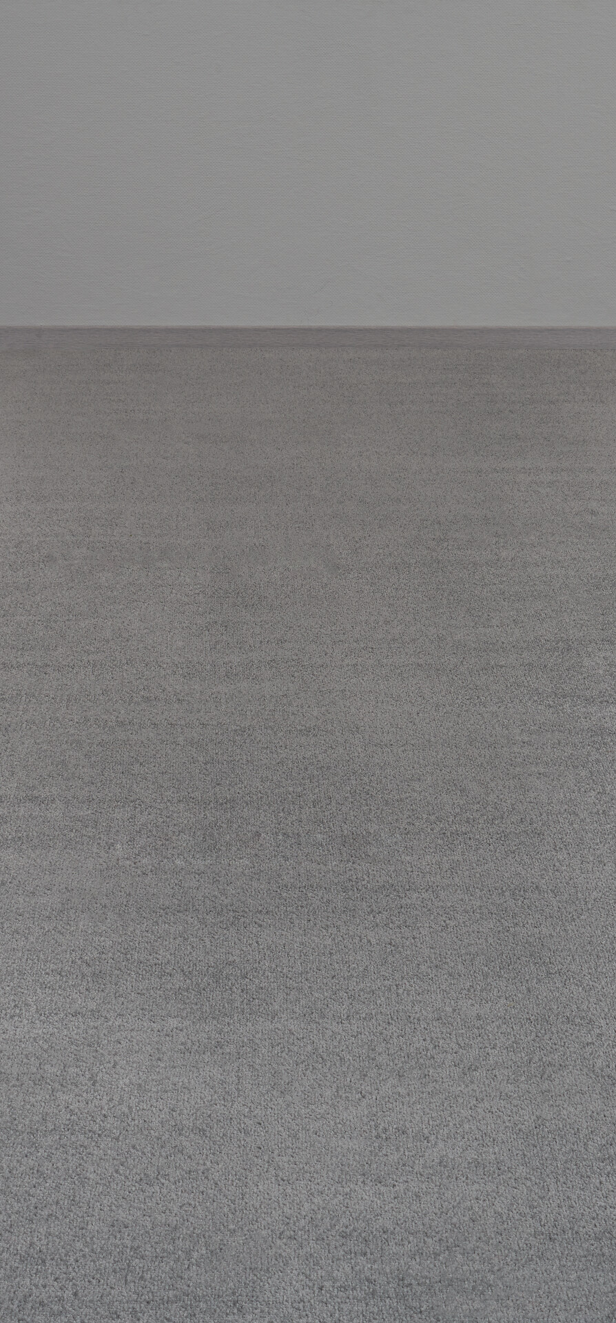 Teppichboden Dynasty grau B: ca. 400 cm pro m²