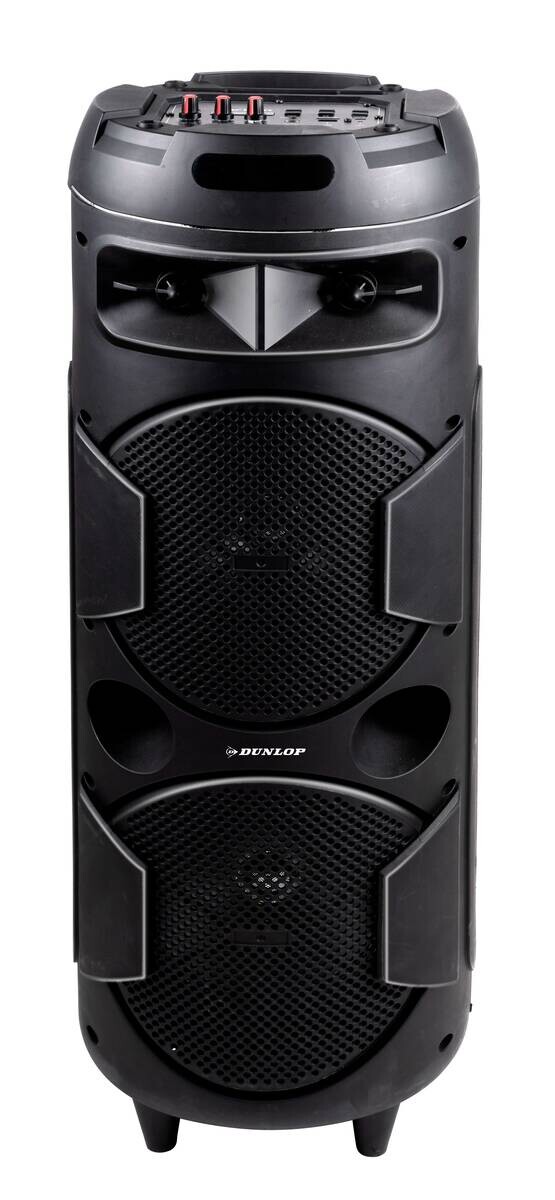 Dunlop Lautsprecher MW-538 H/D: ca. 80x28 cm