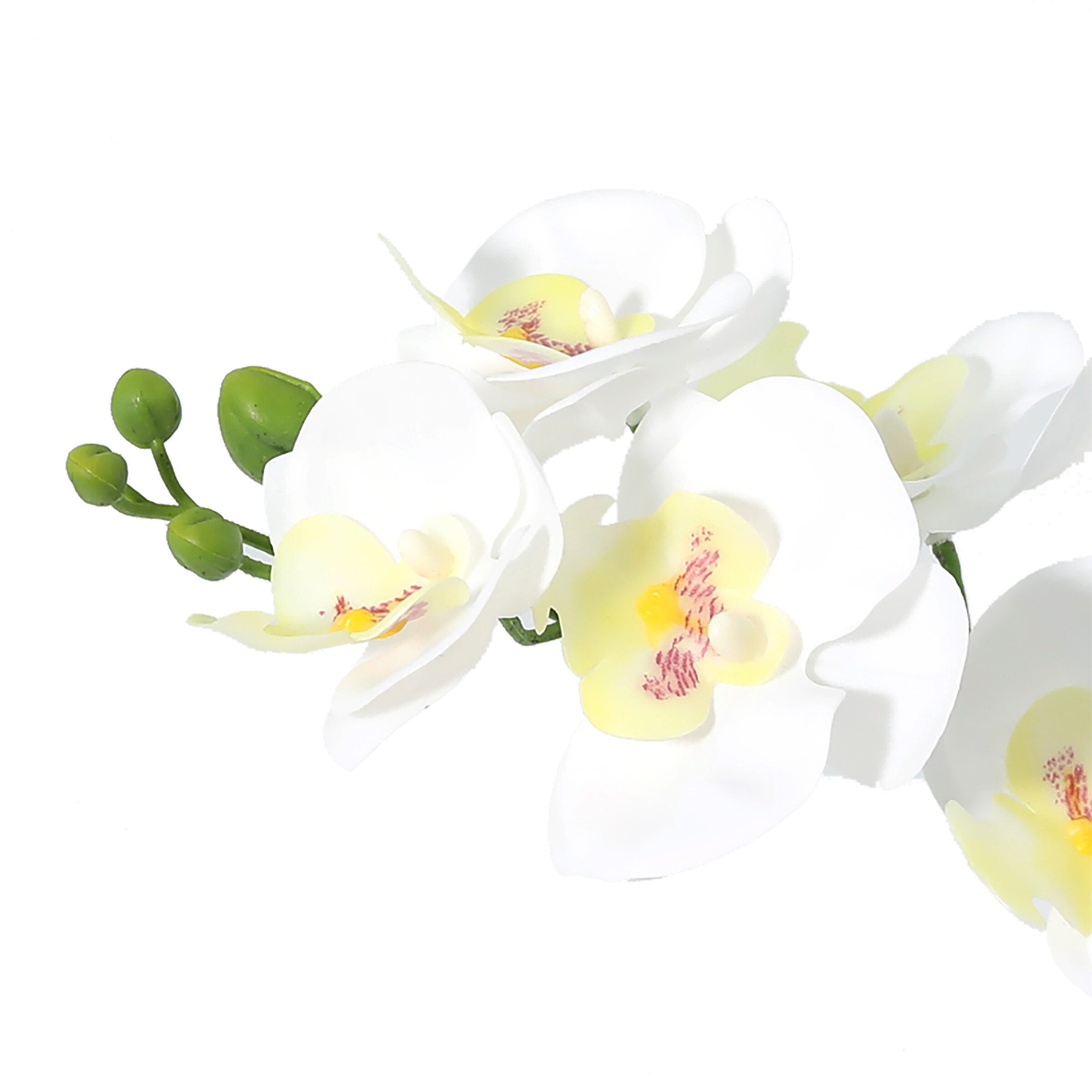 Orchidee weiß Kunststoff B/H/L: ca. 8x30x24 cm