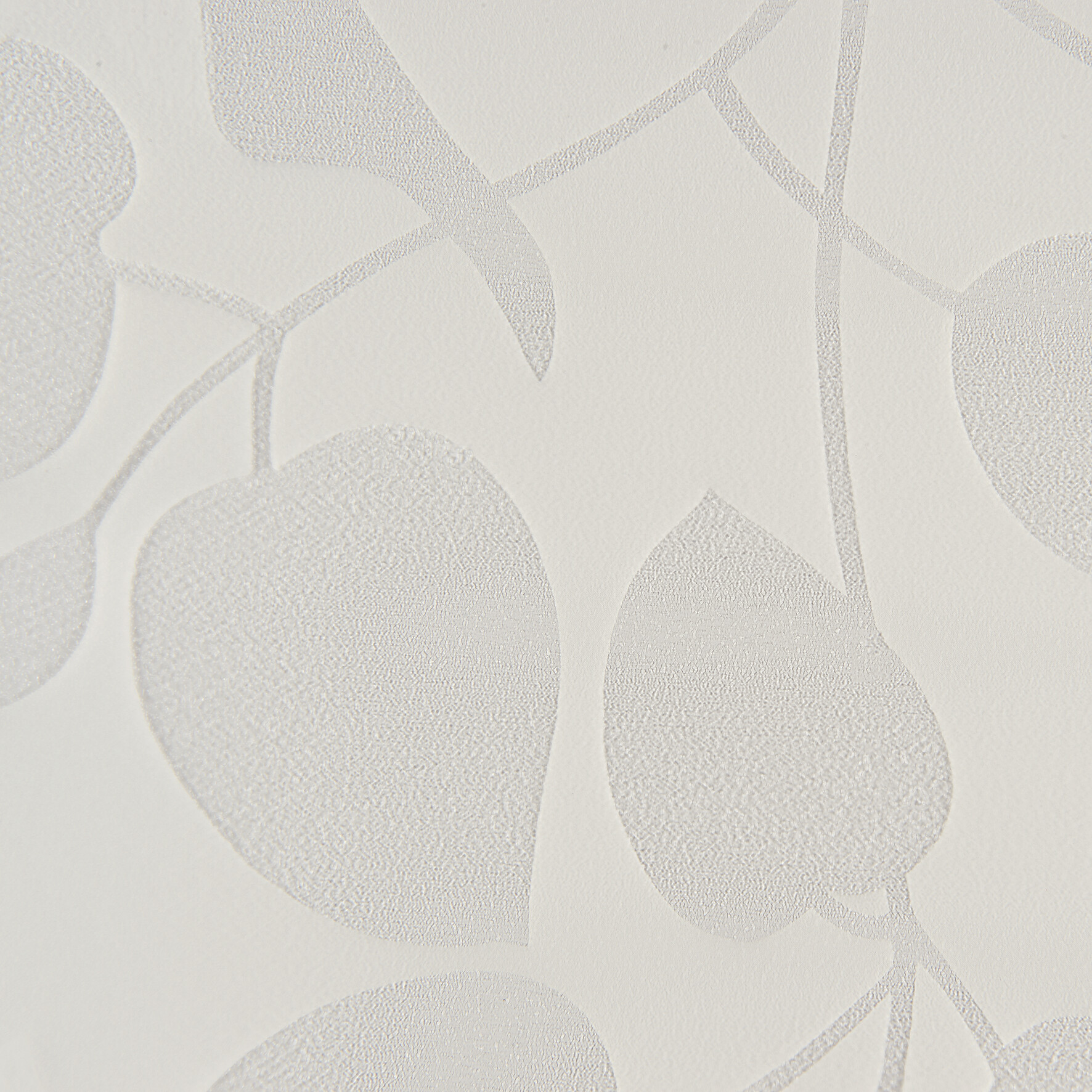 d-c-fix Fensterfolie Blätter transparent B/L: ca. 67,5x150 cm