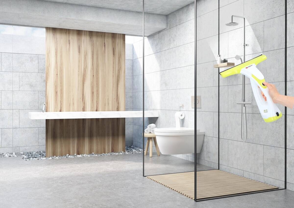 alpina Fenstersauger