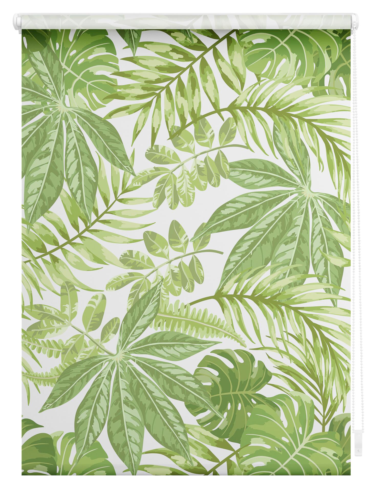 LICHTBLICK Verdunkelungsrollo Blätter grün B/L: ca. 45x150 cm