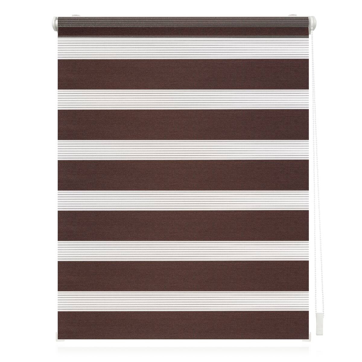 LICHTBLICK Doppelrollo Duo dunkelbraun B/L: ca. 50x150 cm
