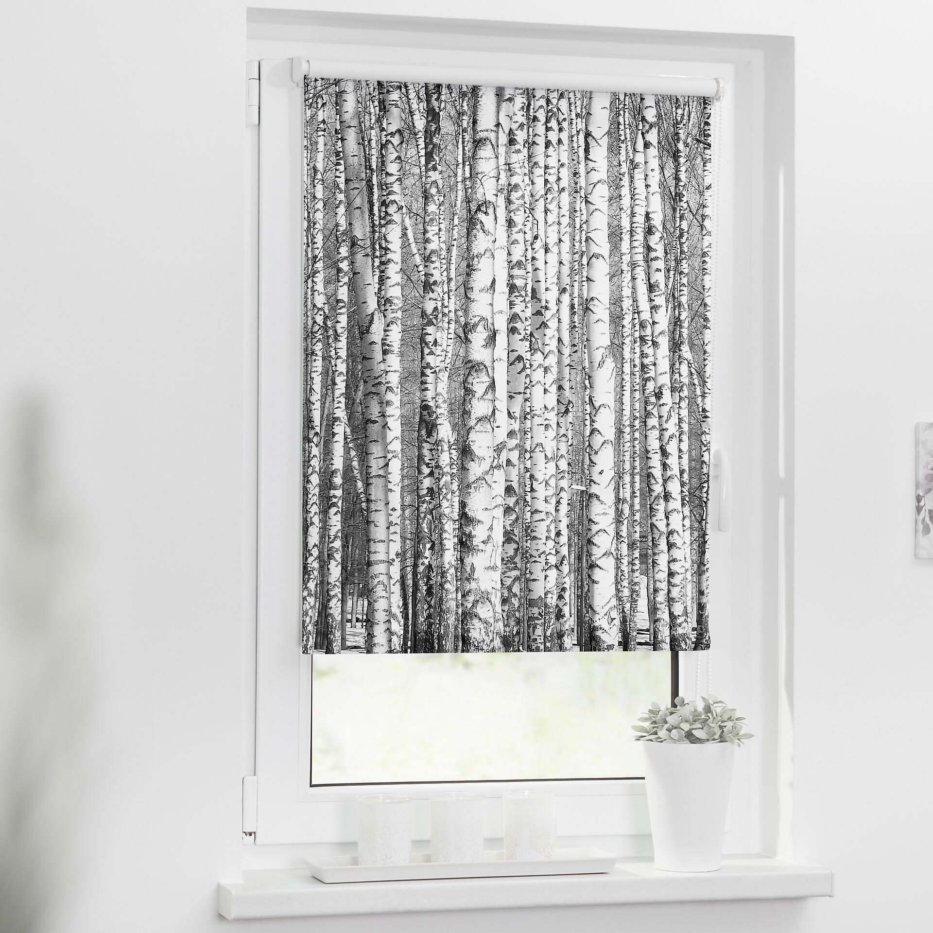 LICHTBLICK Rollo Bretter Birken schwarz B/L: ca. 100x150 cm