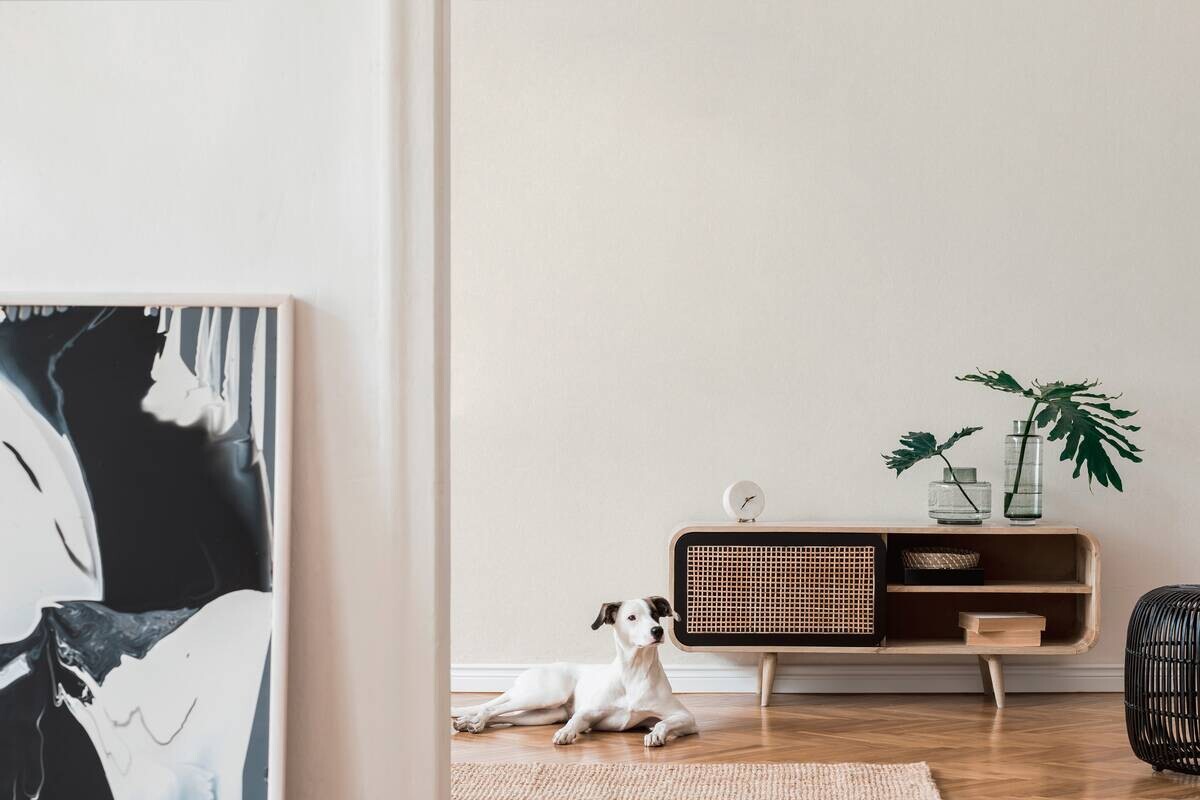 A.S.Creation Vliestapete Attractive 2 Uni weiß B/L: ca. 53x1005 cm