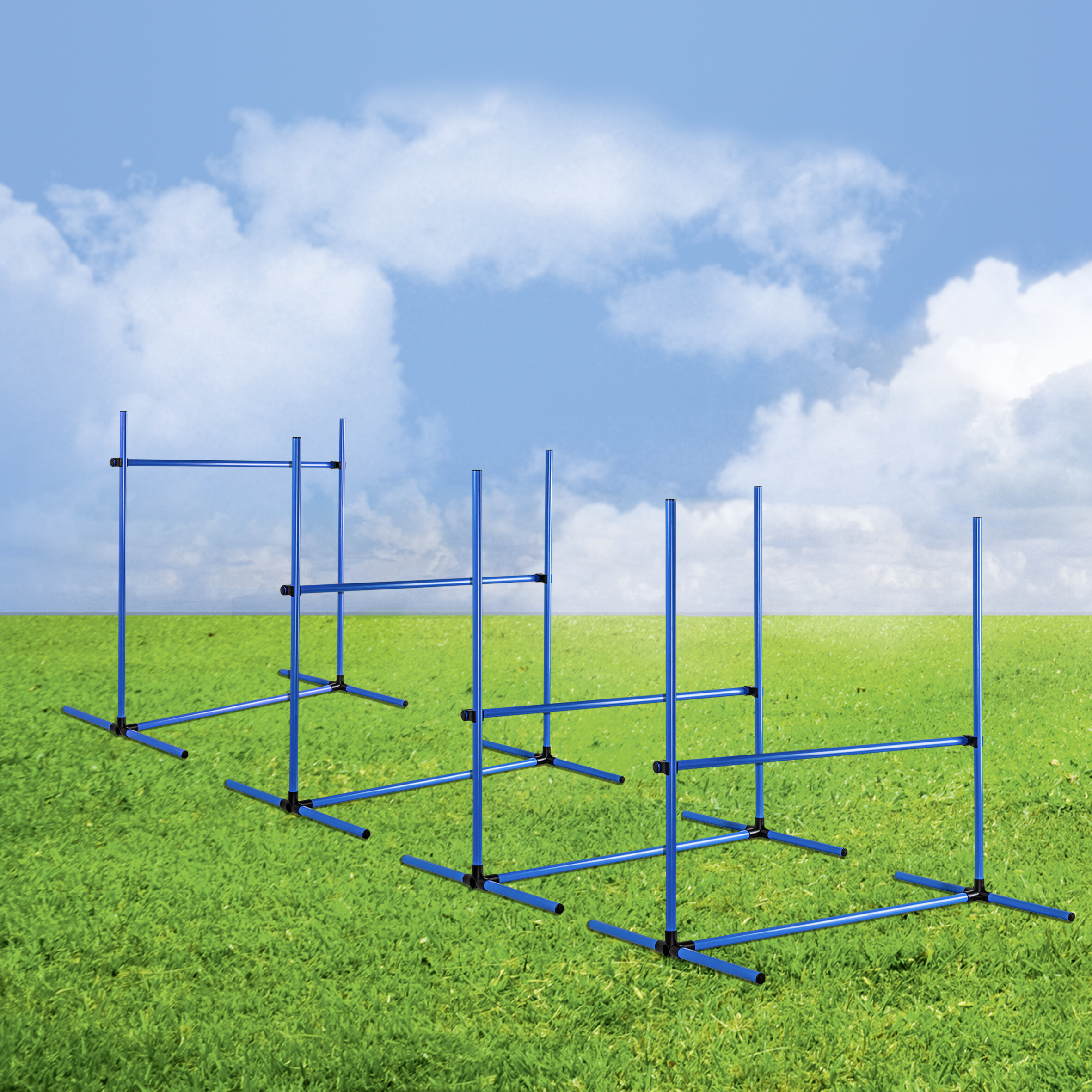 HI Agility Hürdenset blau Kunststoff B/H/L: ca. 65x95x95 cm