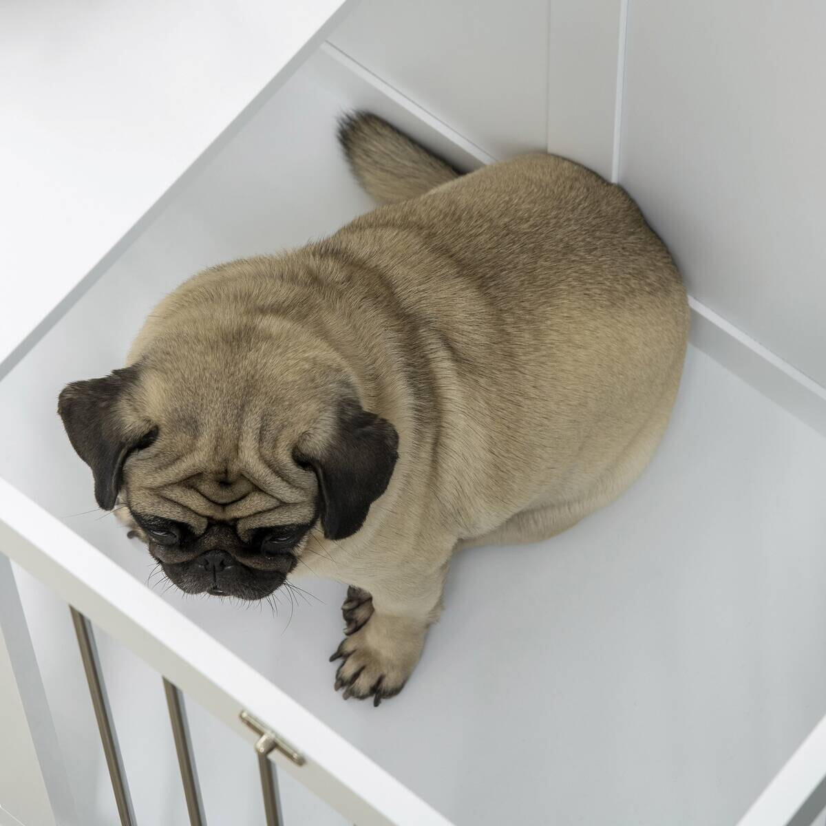 PawHut Hunde-Zubehör weiß Edelstahl B/H/L: ca. 50x80x56,5 cm