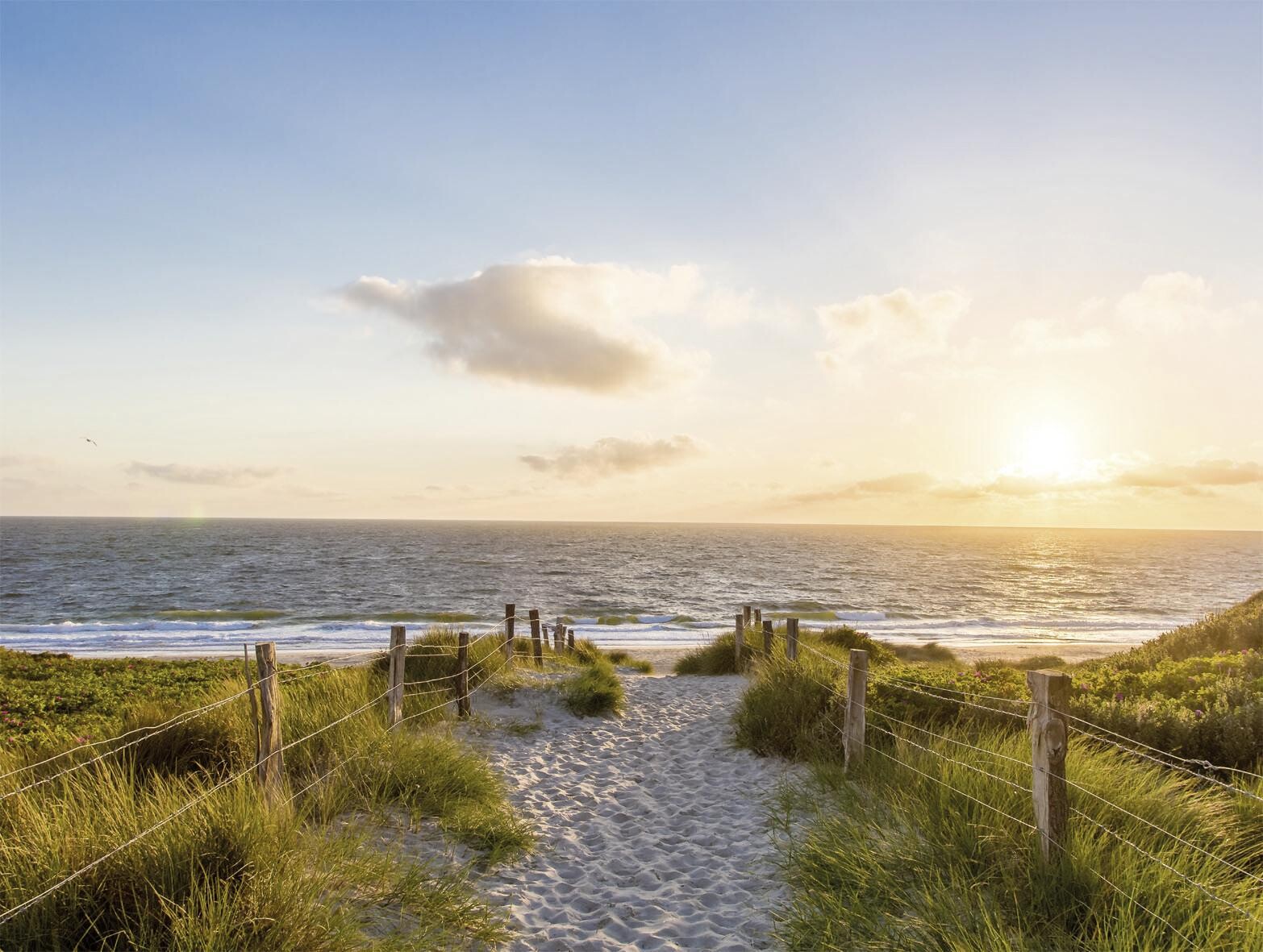 Bönninghoff Keilrahmenbild Strand B/L: ca. 46x61 cm