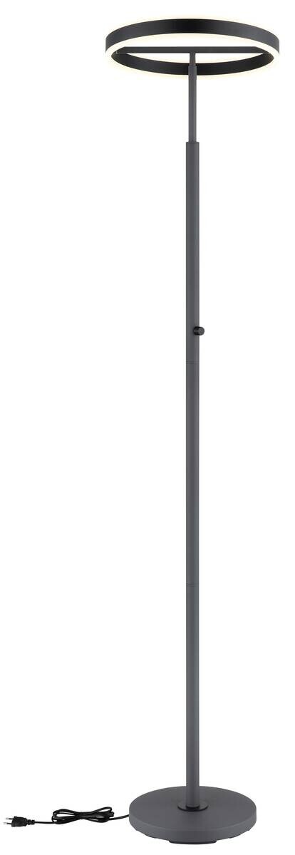 GLOBO Stehleuchte schwarz anthrazit Opal Metall Acryl Aluminium H/D: ca. 181x40 cm 1 Brennstellen