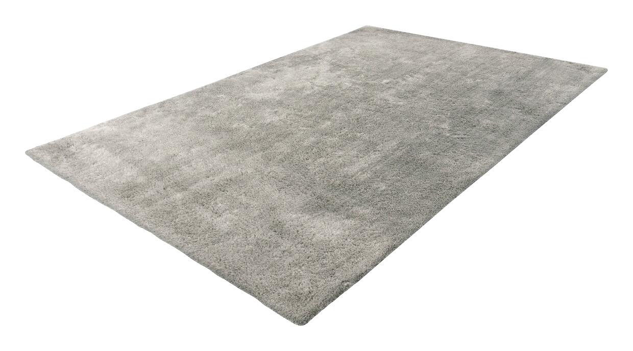 360Living Teppich Bali Silbergrau B/L: ca. 80x150 cm 360Living Teppich Bali Silbergrau B/L: ca. 80x150 cm