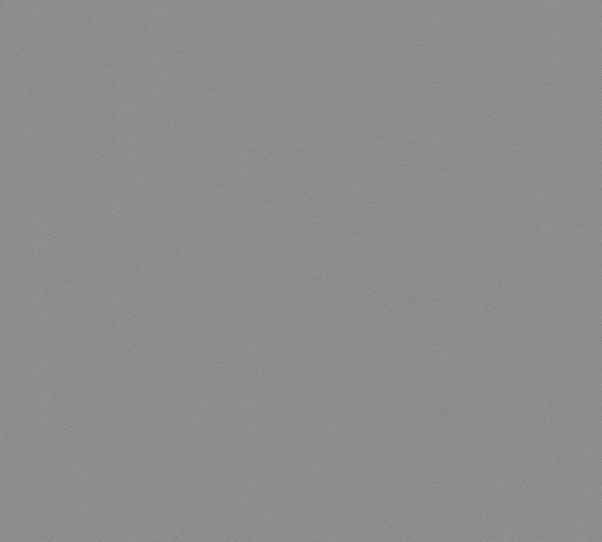 A.S.Creation Vliestapete Björn Uni grau B/L: ca. 53x1005 cm