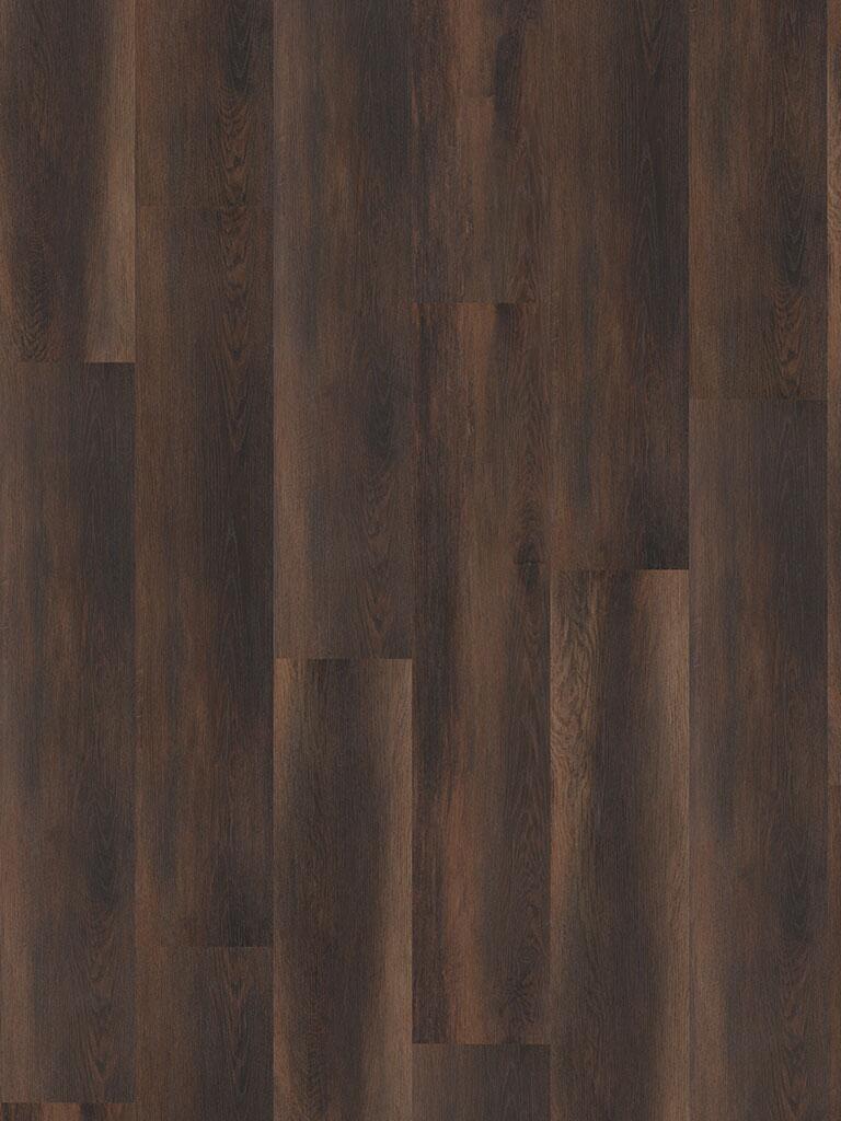 Check One Click-Vinylboden Felizitas ca. 2,782 m² im Paket  B/L: ca. 22,8x122 cm pro Paket