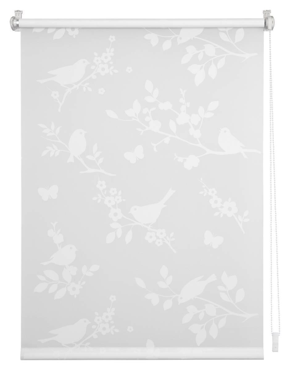 LICHTBLICK Rollo Pflanze weiß B/L: ca. 45x150 cm