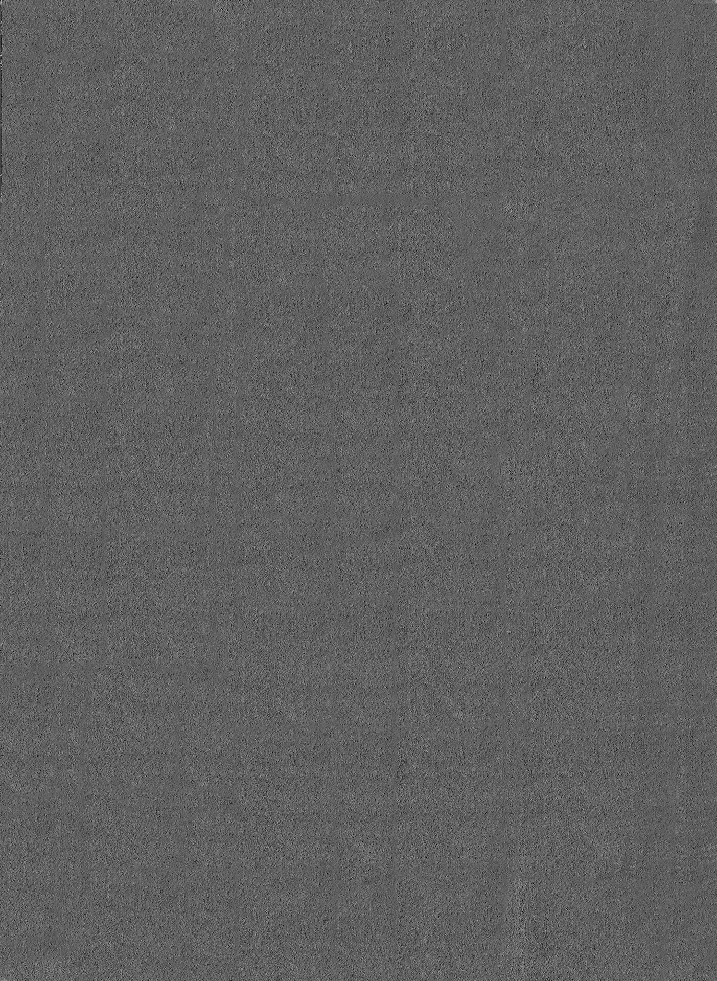 Teppich Cozy anthrazit B/H/L: ca. 160x15x220 cm Teppich Cozy anthrazit B/H/L: ca. 160x15x220 cm