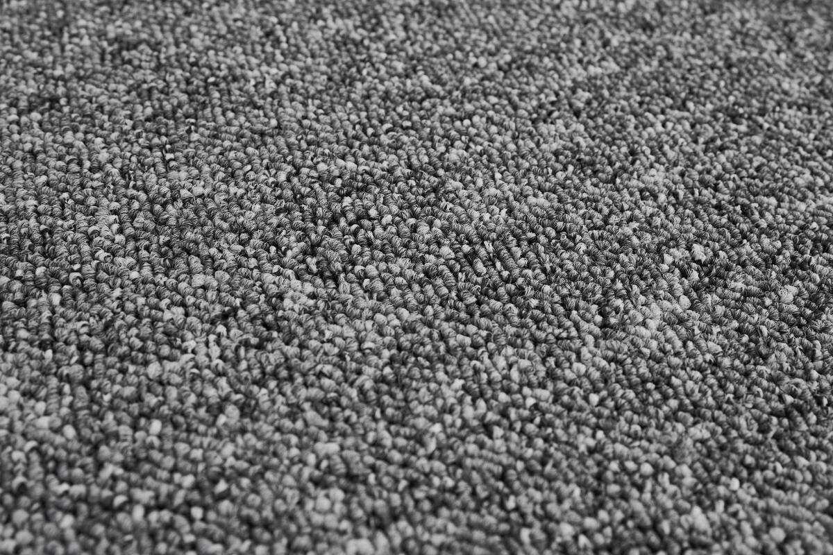 Teppichboden Rico grau B/L: ca. 200x500 cm pro Stück