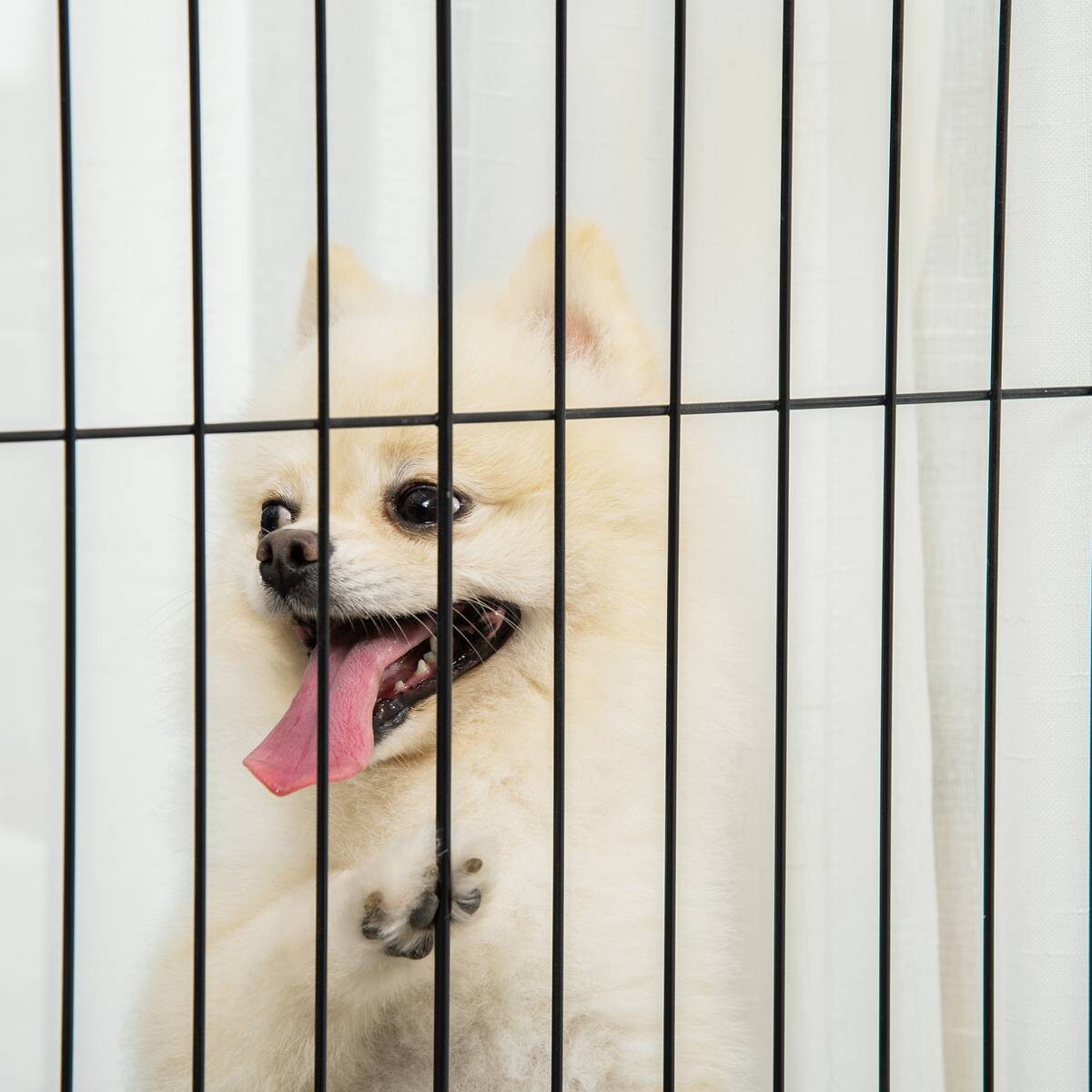 PawHut Absperrgitter weiß Stahl B/H/L: ca. 35,5x82x305 cm