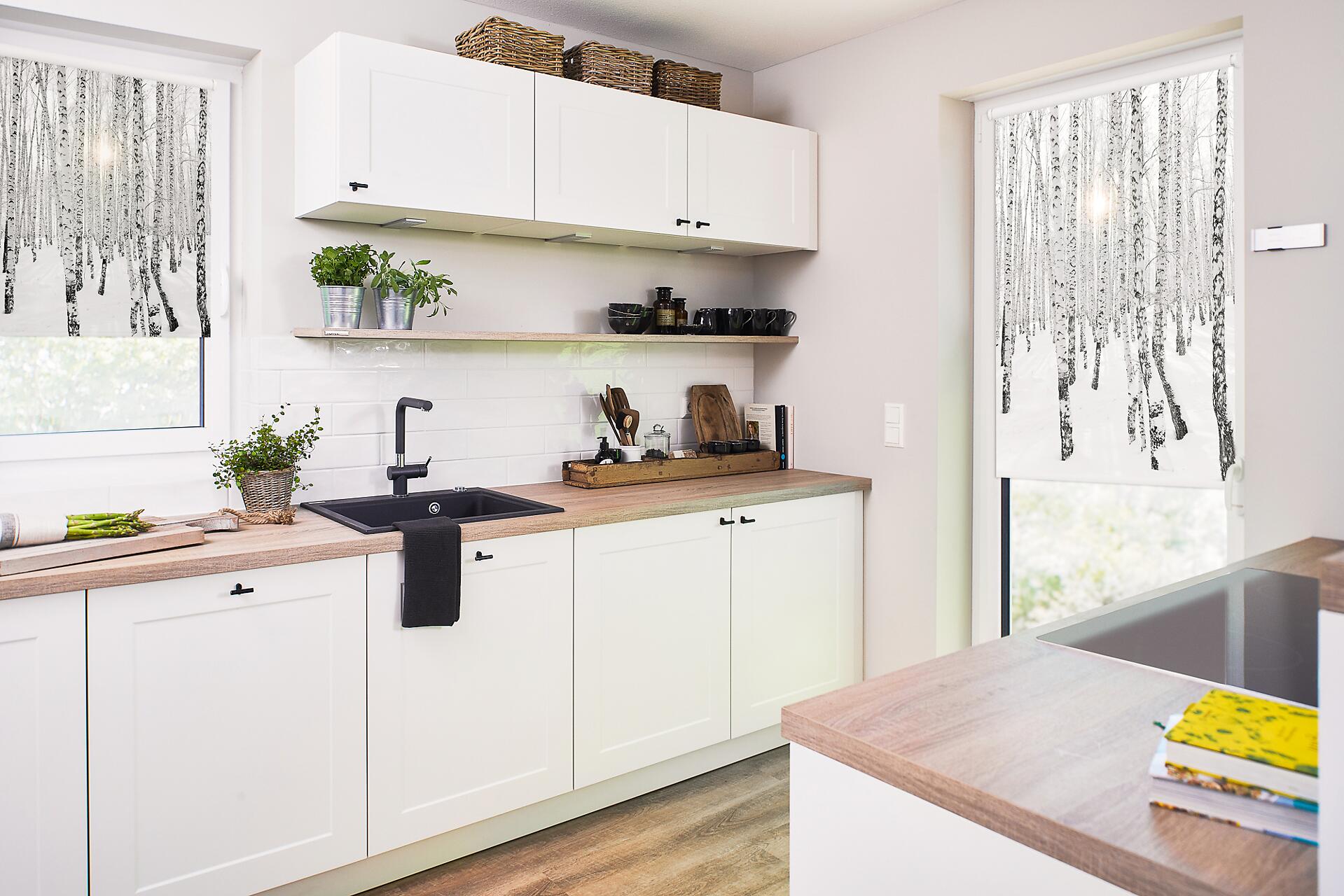 LICHTBLICK Rollo Birkenwald weiß B/L: ca. 90x150 cm