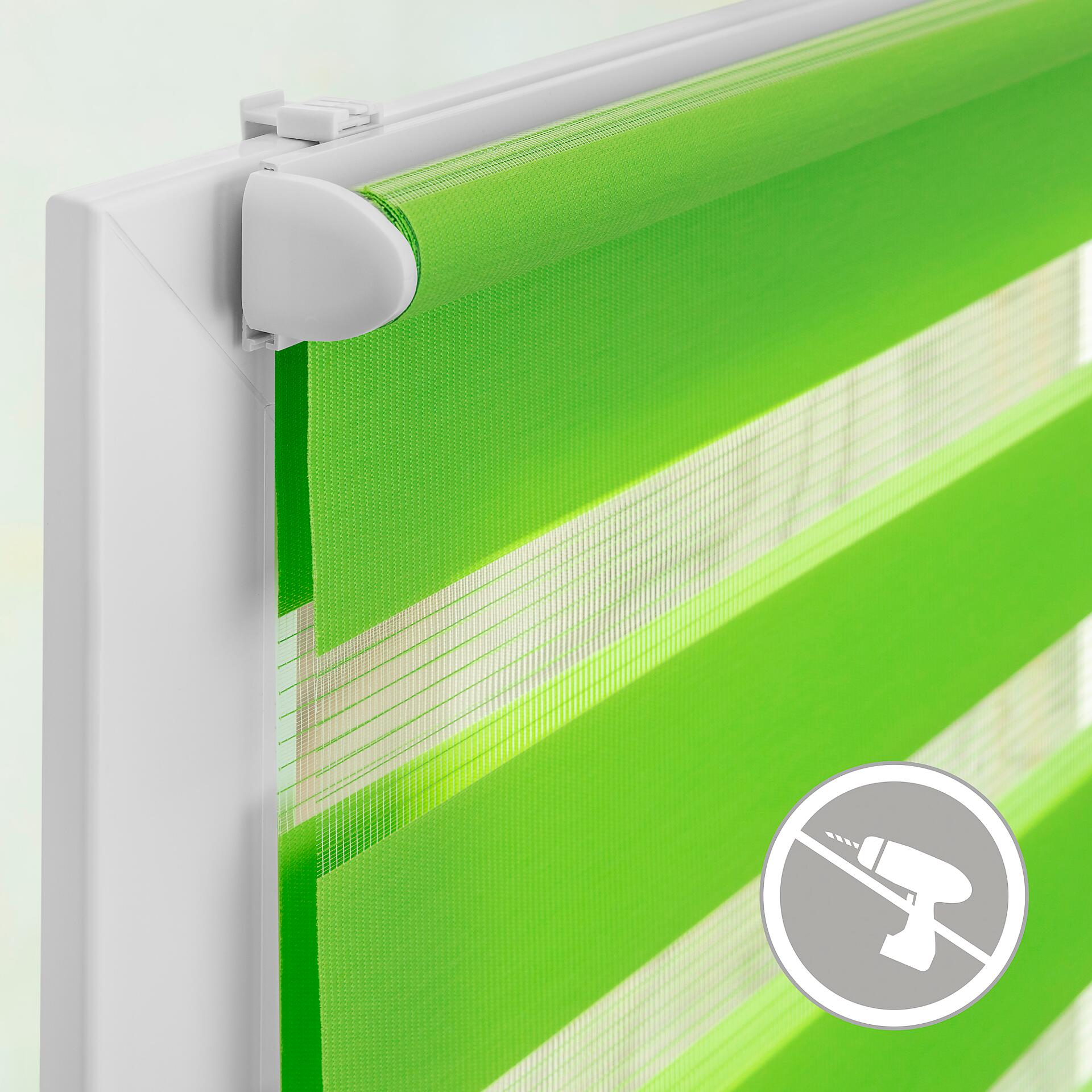 LICHTBLICK Doppelrollo Duo grün B/L: ca. 90x150 cm