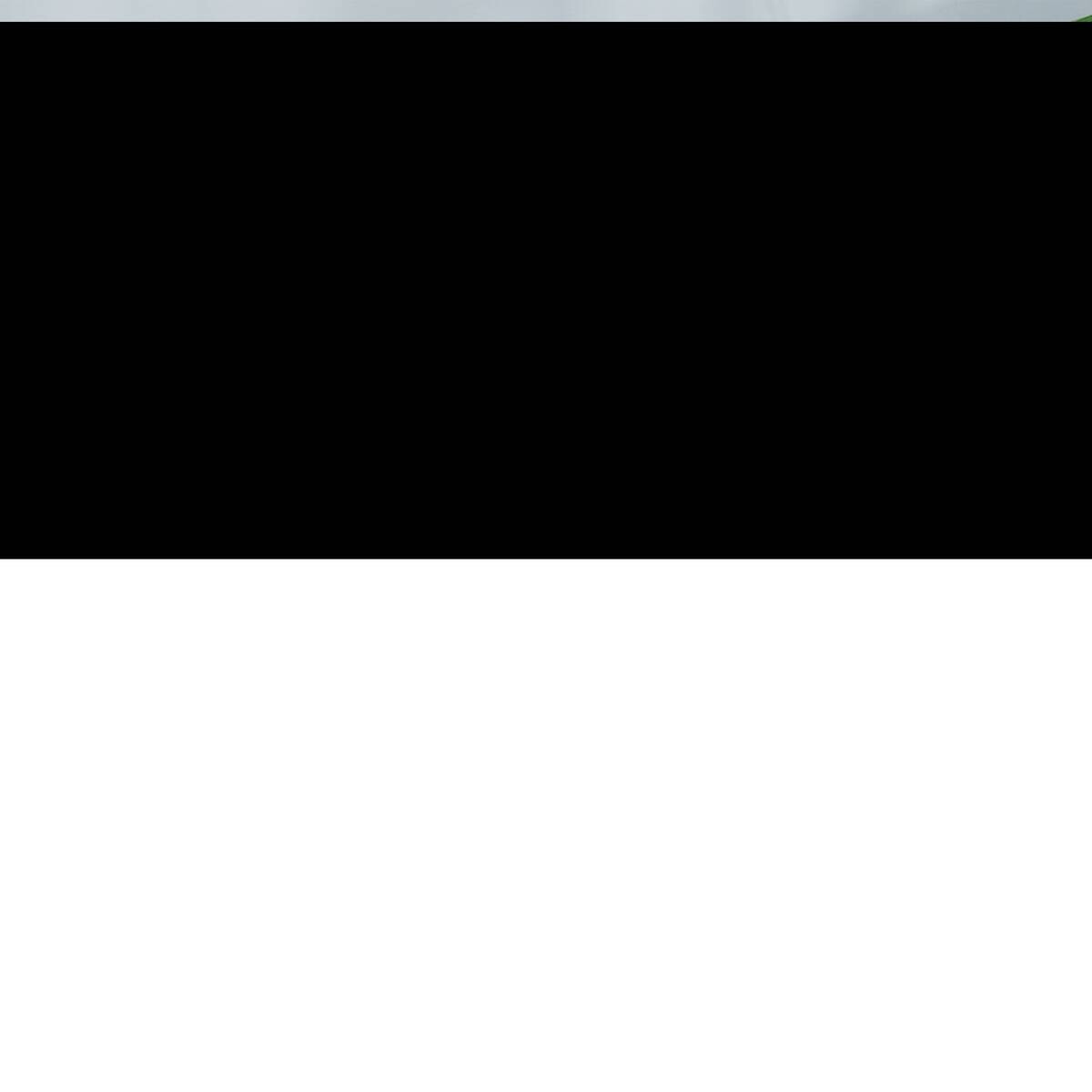 PawHut Terrarium schwarz Edelstahl B/H/L: ca. 30x50x35 cm