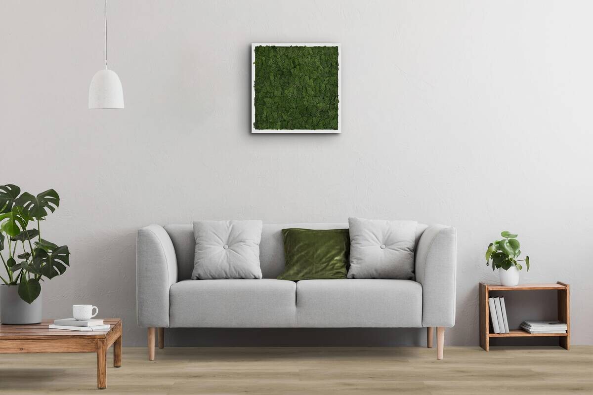 Click-Vinylboden Buchrasen ca. 2,782 m² im Paket  B/L: ca. 22,8x122 cm pro Paket