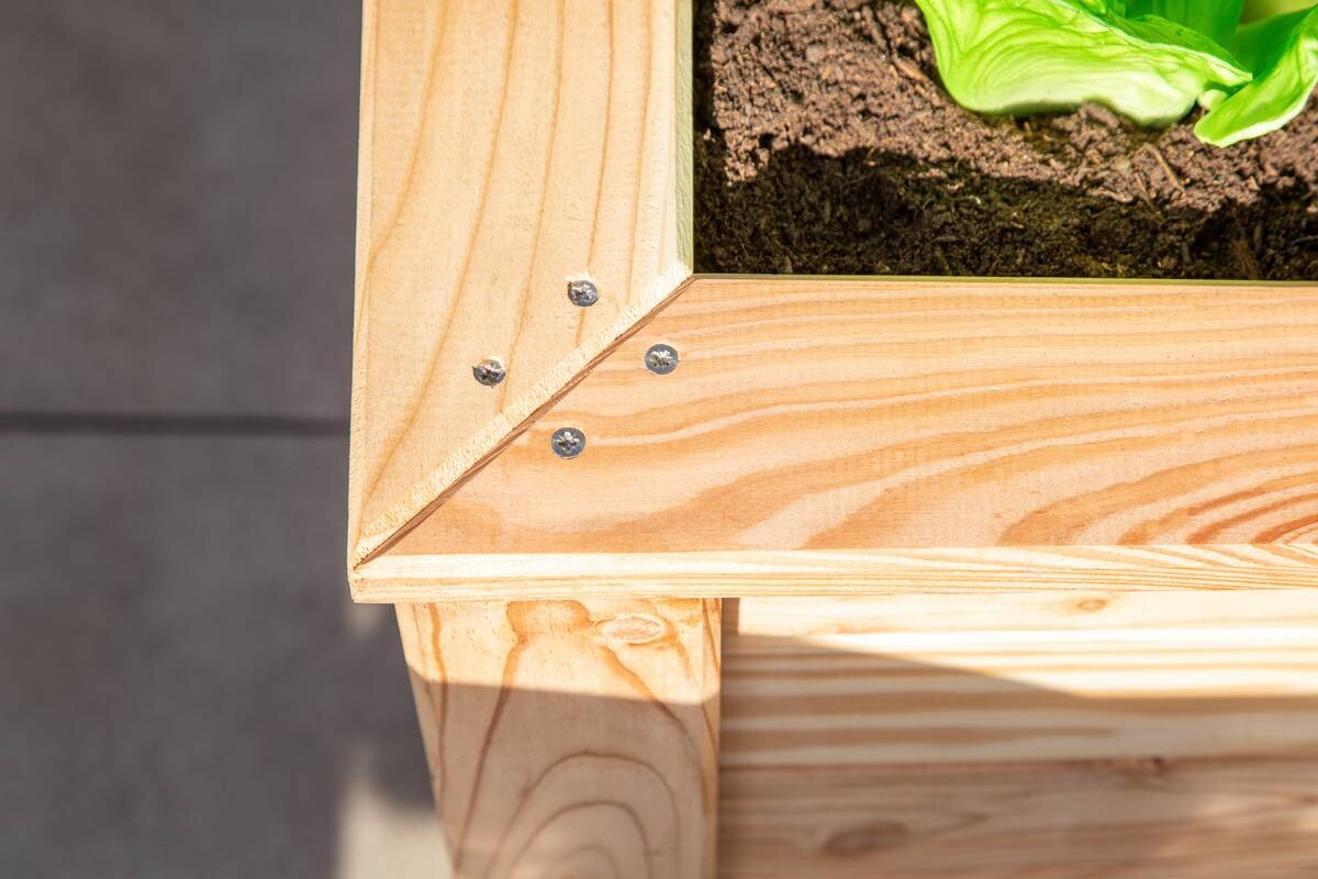 Westmann Hochbeet Lärche 100 natur Lärche B/H/L: ca. 65x66x100 cm
