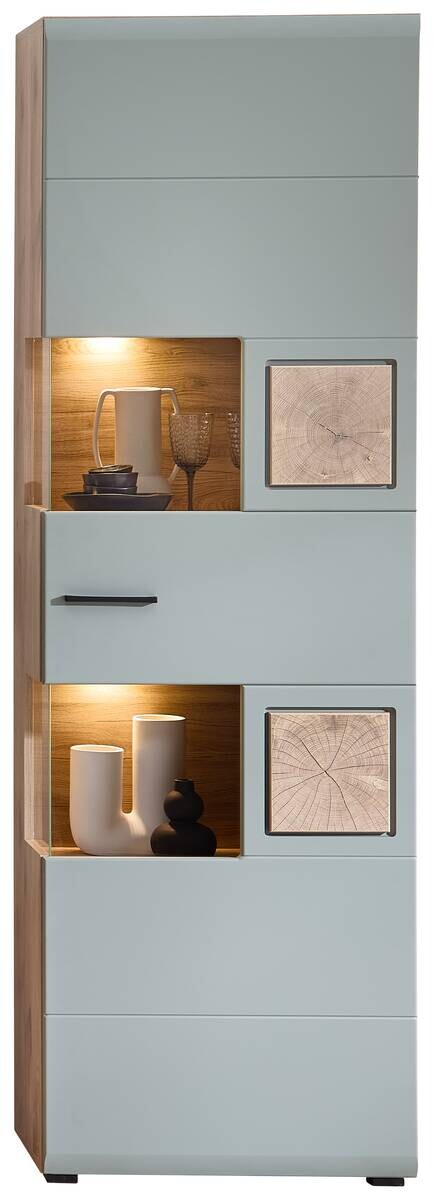 Vitrine Fun Plus 2 salbei Oak Eiche Viking Nachbildung B/H/T: ca. 65x205x37 cm Vitrine Fun Plus 2 salbei Oak Eiche Viking Nachbildung B/H/T: ca. 65x205x37 cm