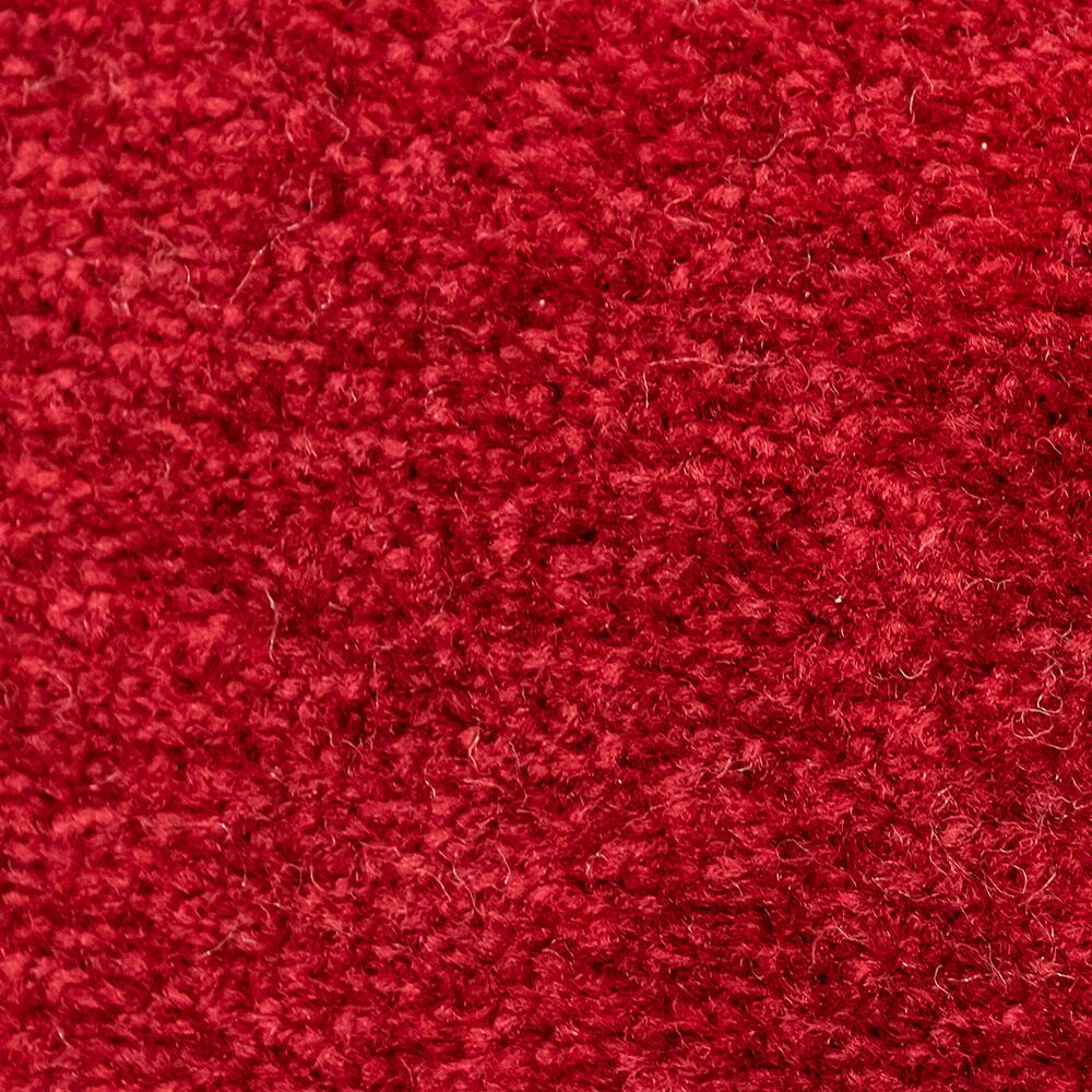 Schmutzfangmatte Alpha rot B/L: ca. 40x60 cm