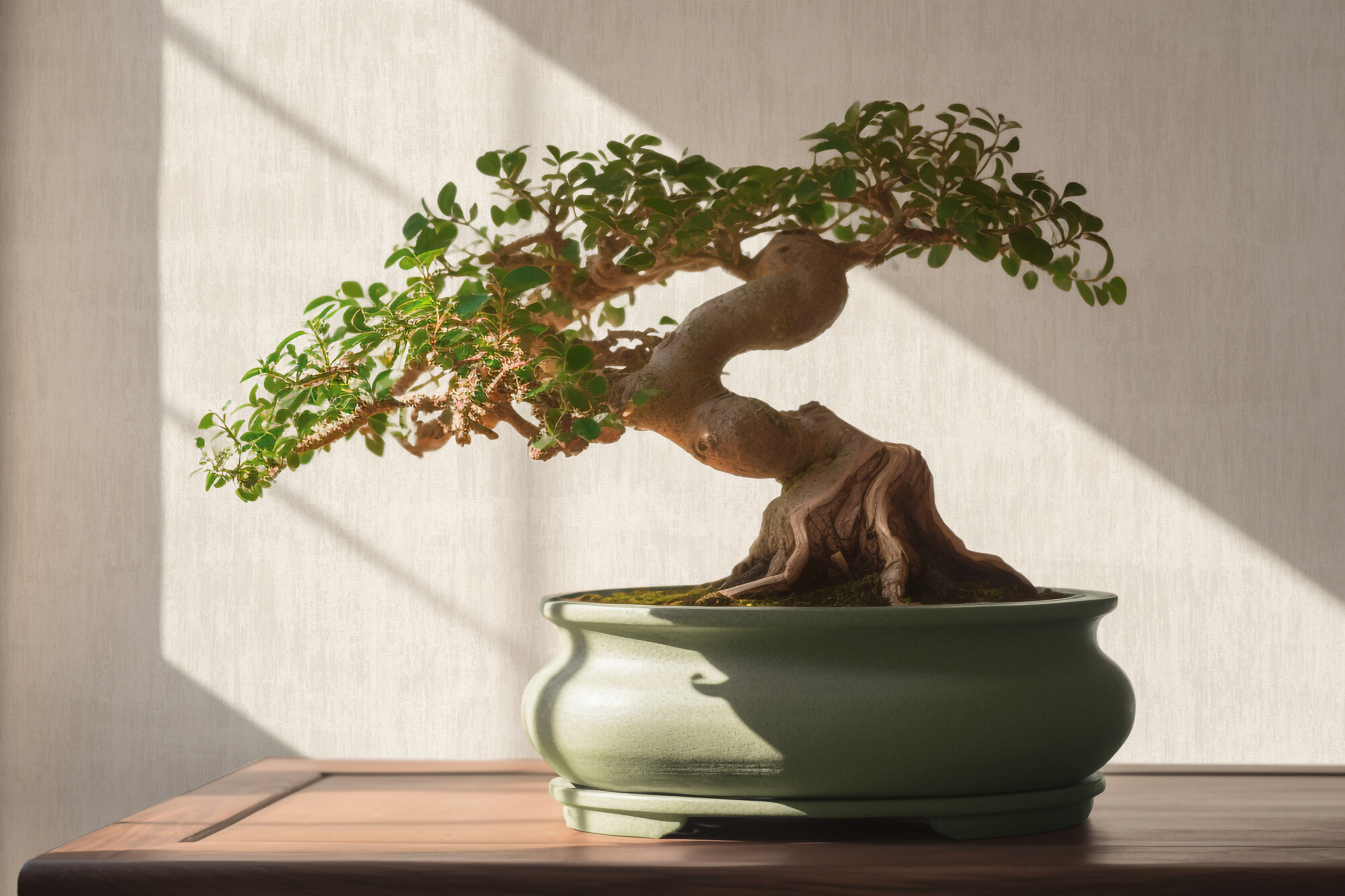 A.S.Creation Vliestapete creme beige B/H/D: ca. 53x1005x9,1 cm