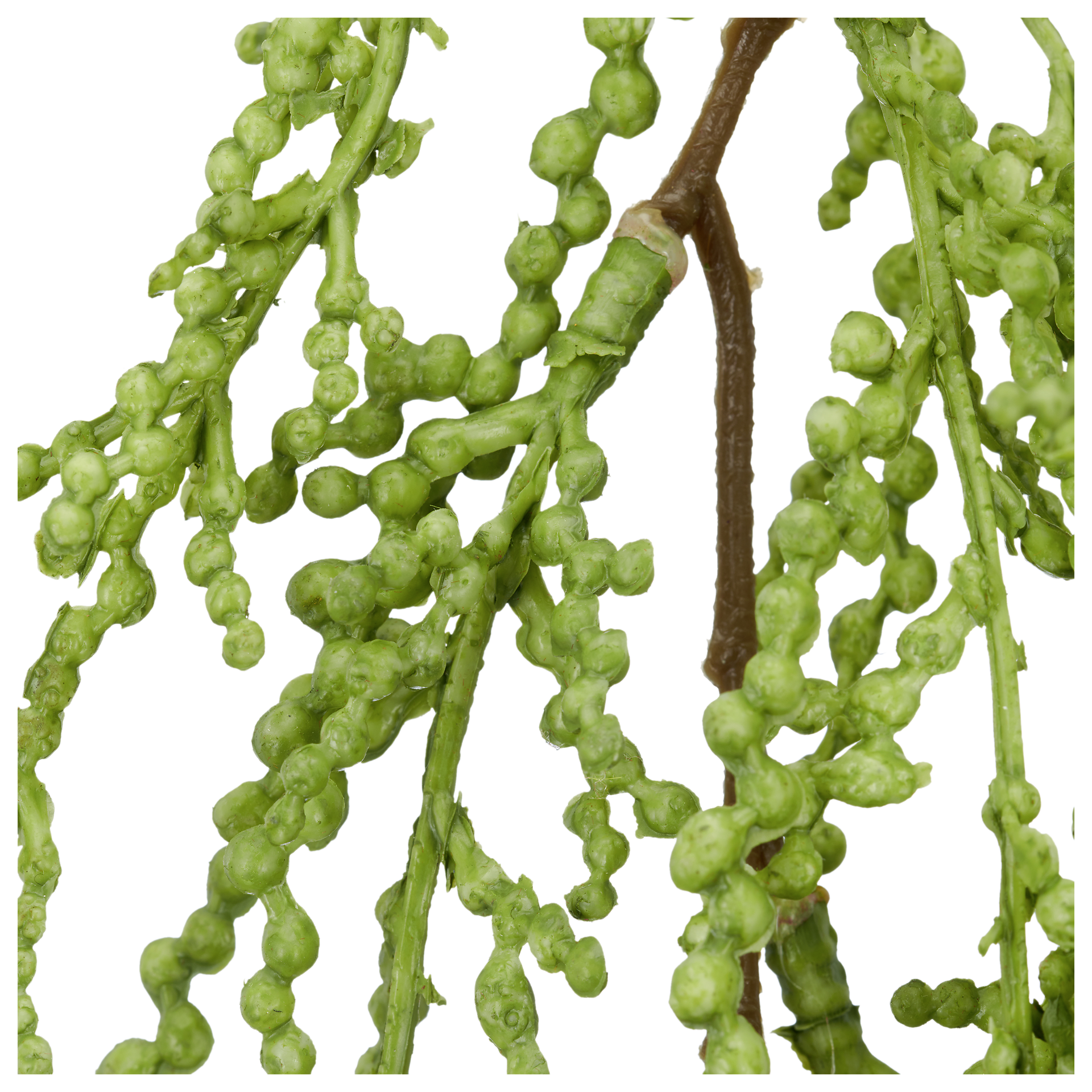 Kunstpflanze grün Kunststoff L: ca. 63 cm