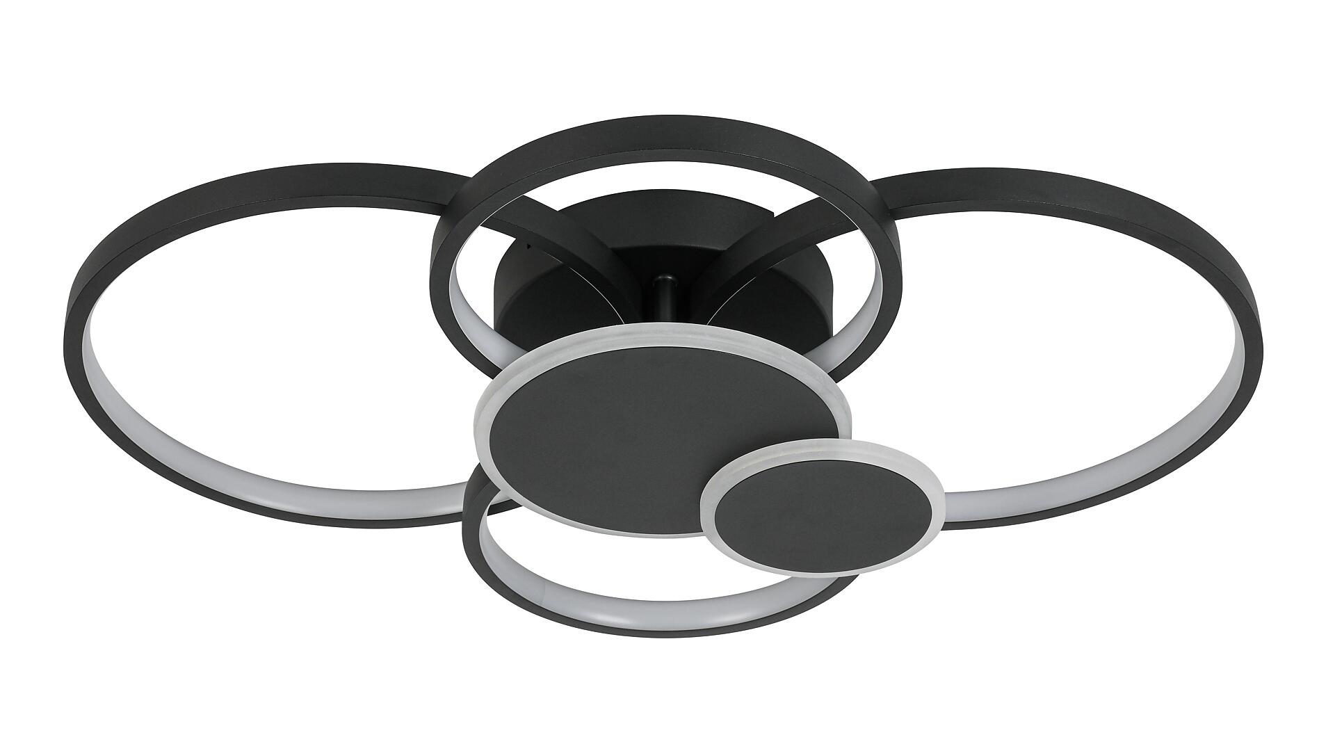 Nolo LED-Deckenleuchte Ring schwarz Metall B/H/L: ca. 46x10x65 cm