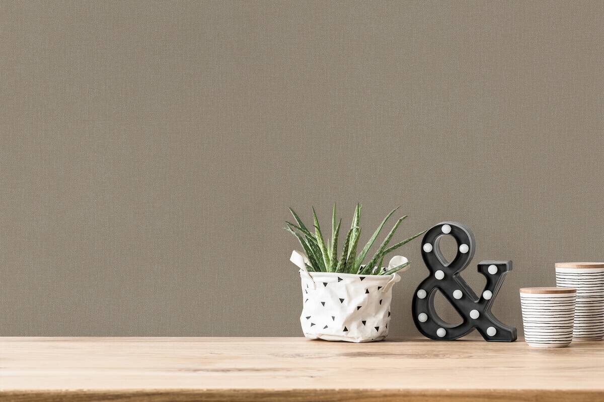 A.S.Creation Vliestapete Terra Uni braun B/L: ca. 53x1005 cm