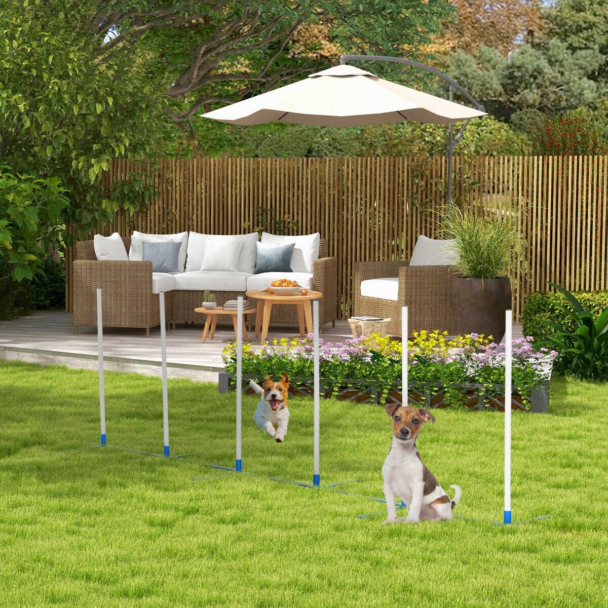 PawHut Hunde-Agility-Set blau Kunststoff B/H/L: ca. 60x94x305 cm