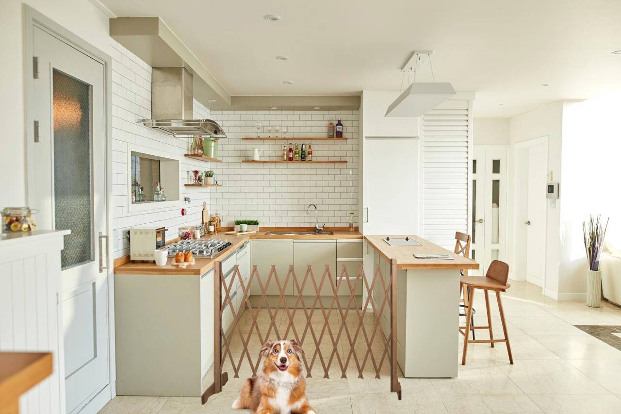 Hundeabsperrgitter braun Holz