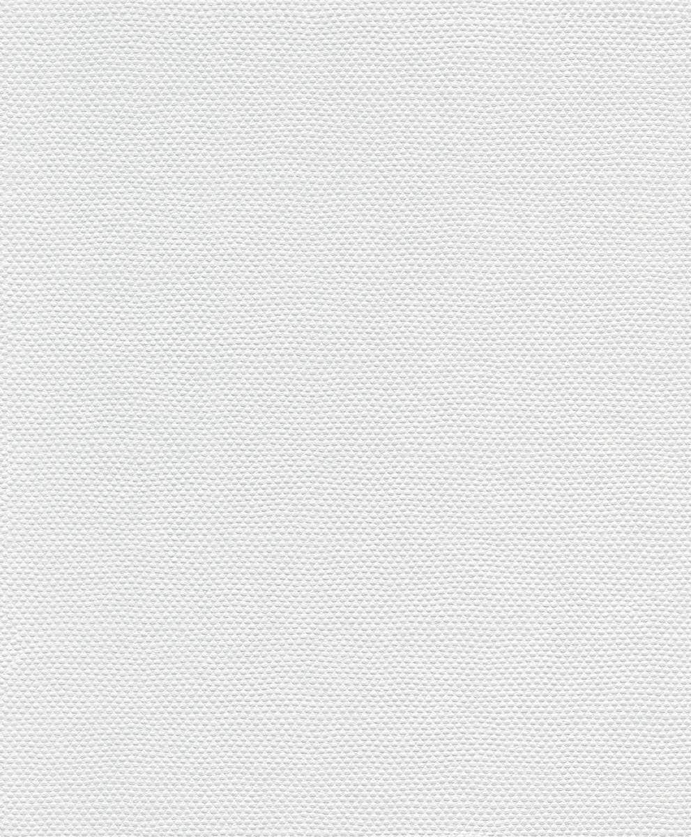 A.S.Creation Vliestapete Meistervlies 2020 Uni farblos B/L: ca. 53x1005 cm