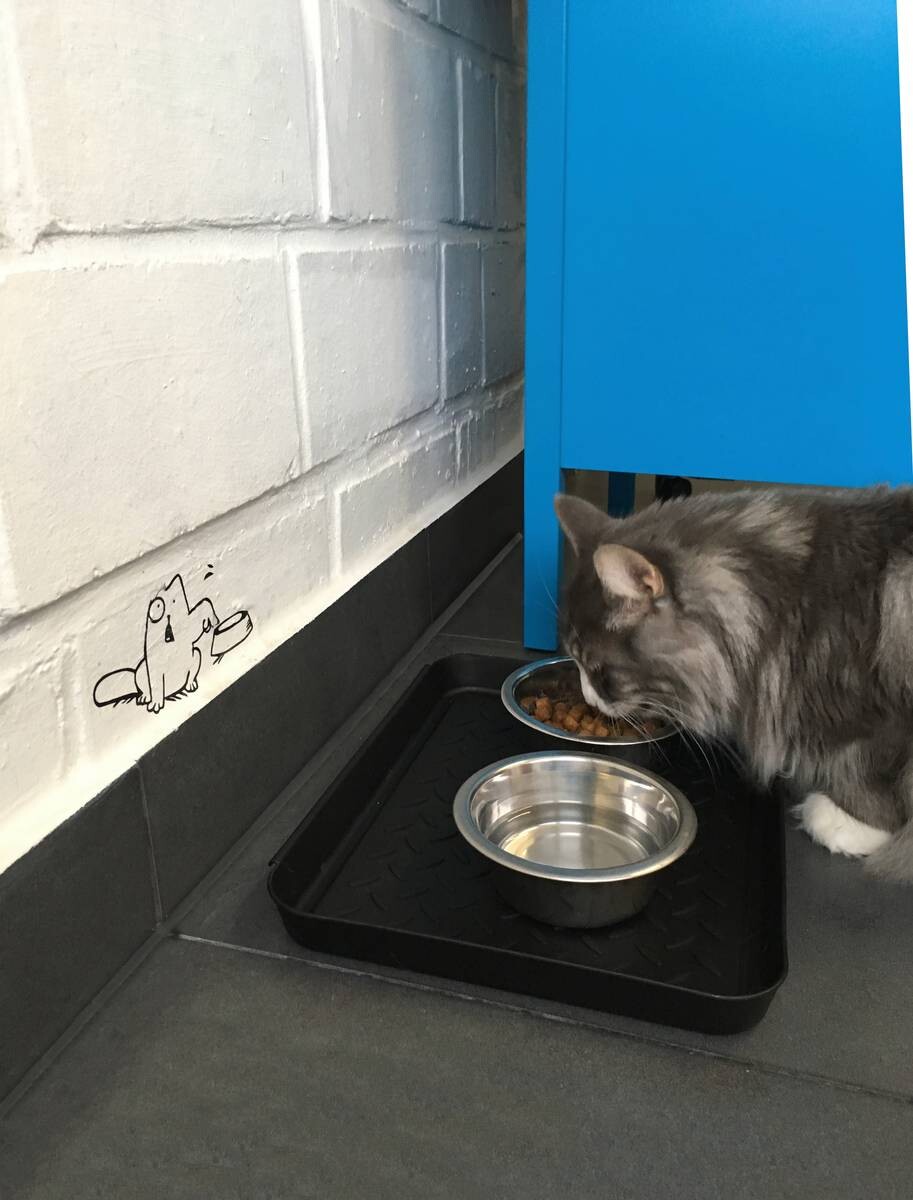 Abtropfschale 3-teilig schwarz B/L: ca. 27x35 cm