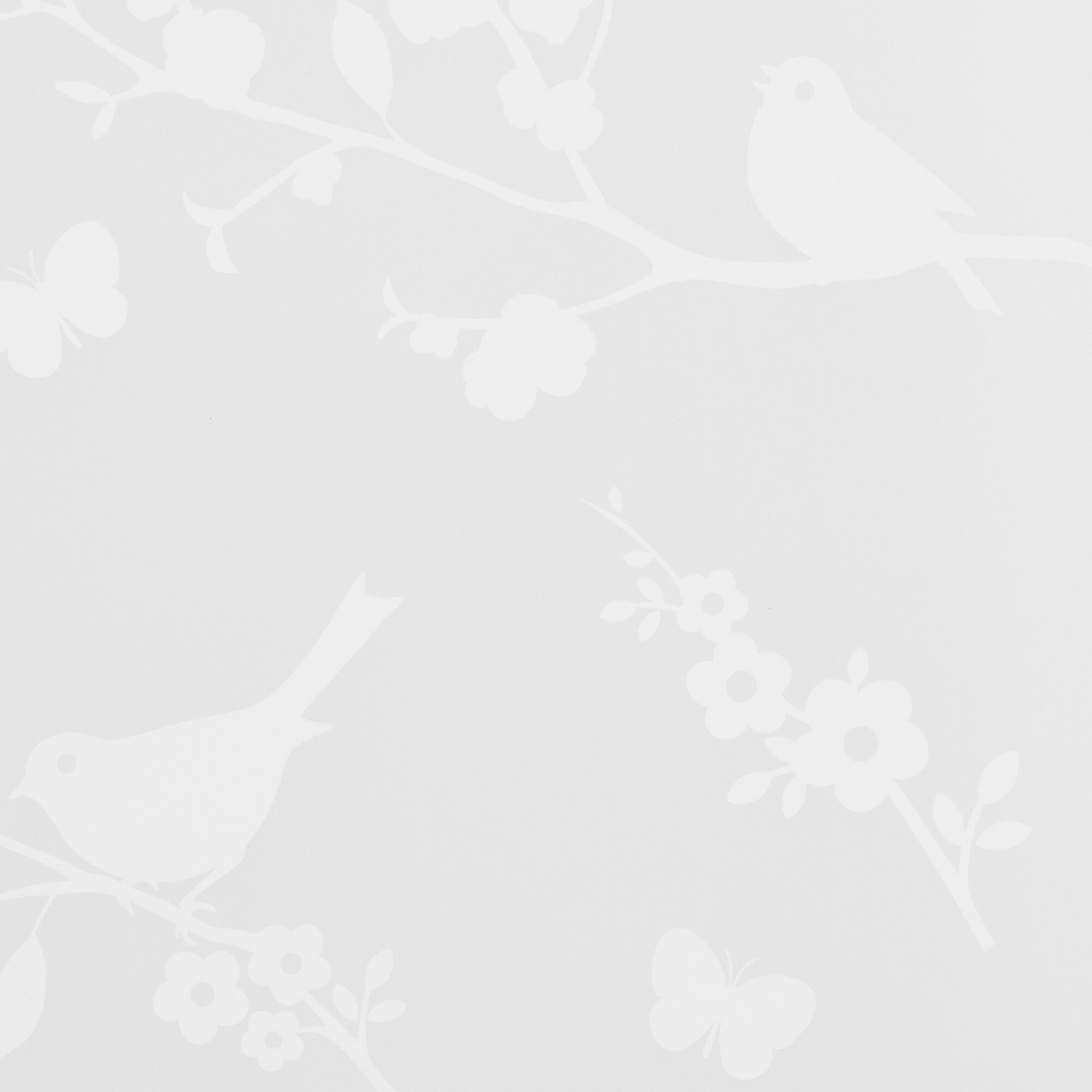 LICHTBLICK Rollo Pflanze weiß B/L: ca. 80x150 cm