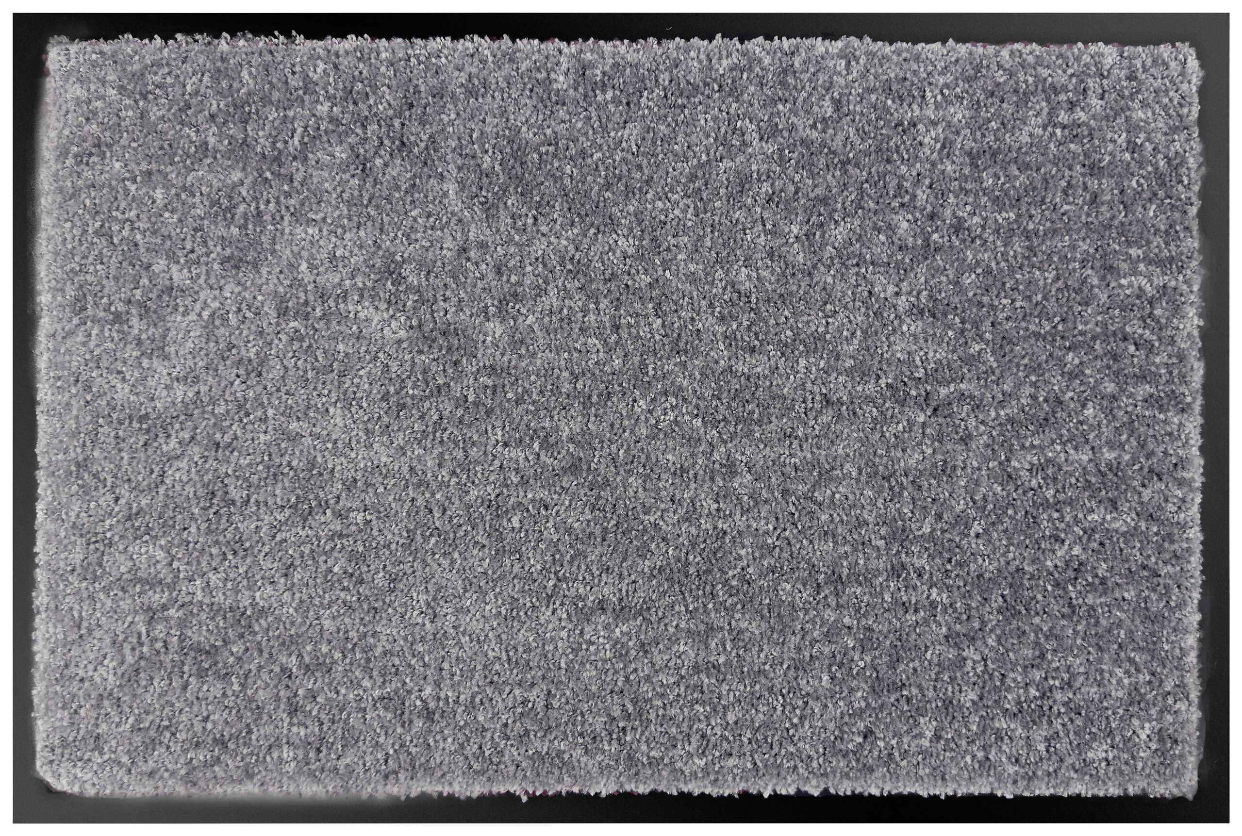 Schmutzfangmatte Teddy Silbergrau B/L: ca. 60x80 cm Schmutzfangmatte Teddy Silbergrau B/L: ca. 60x80 cm