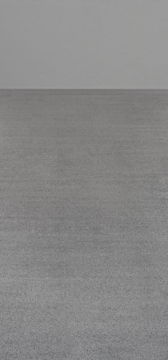 Teppichboden Dynasty grau B: ca. 400 cm pro m²