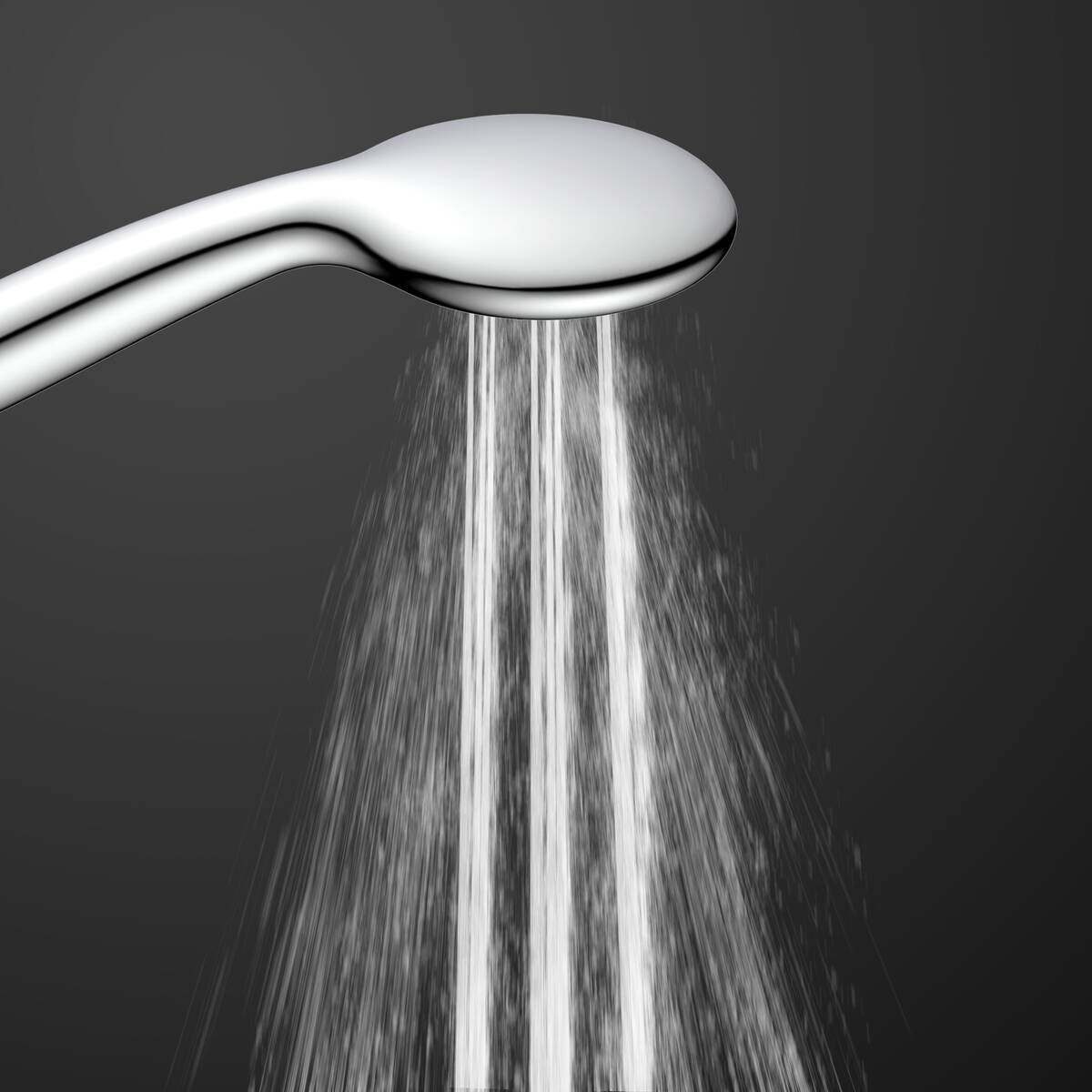 Eisl Handbrause-Set Leon Chrom