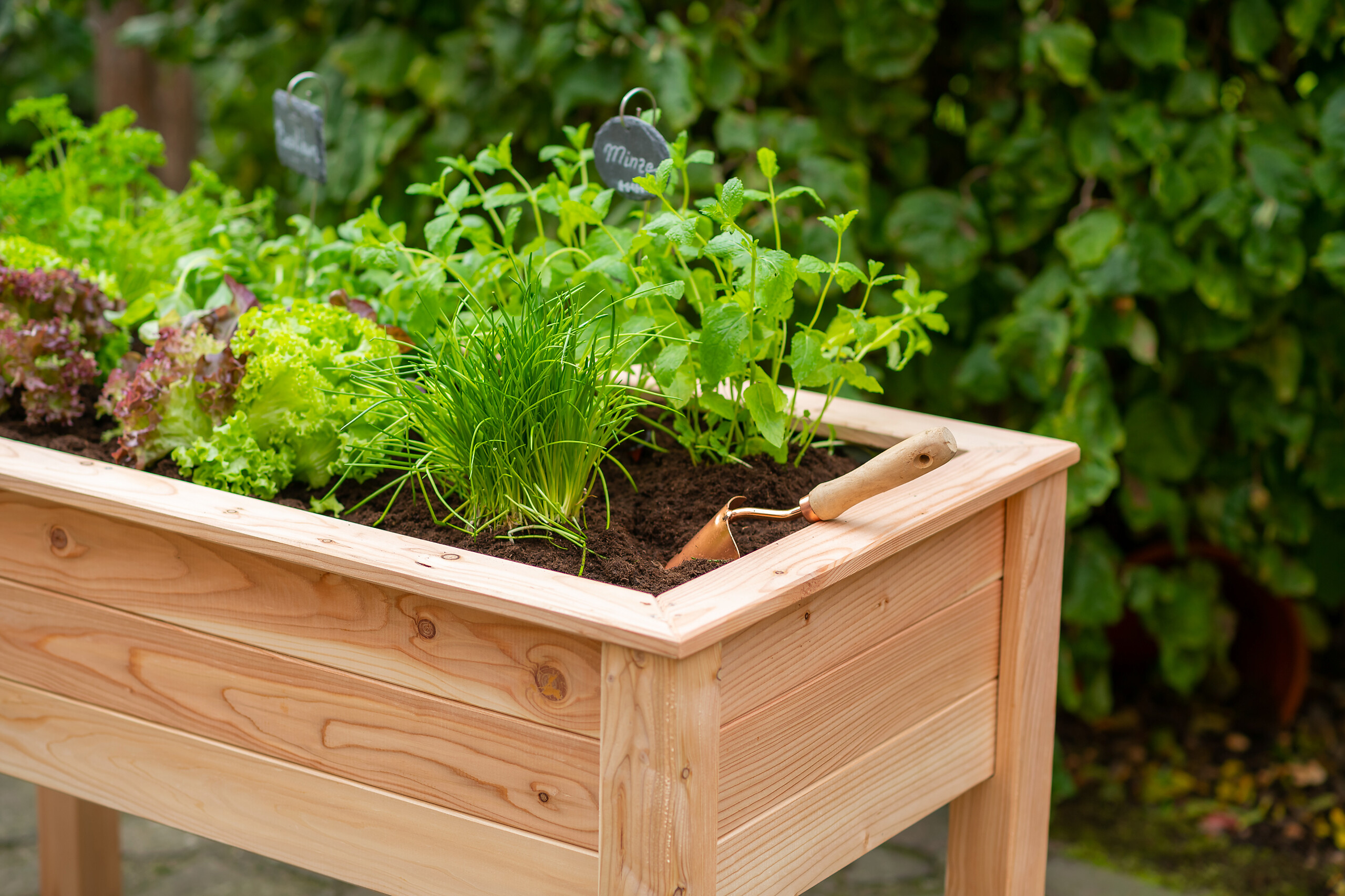 Westmann Stelzenhochbeet natur Lärche H/T/L: ca. 75x65x120 cm