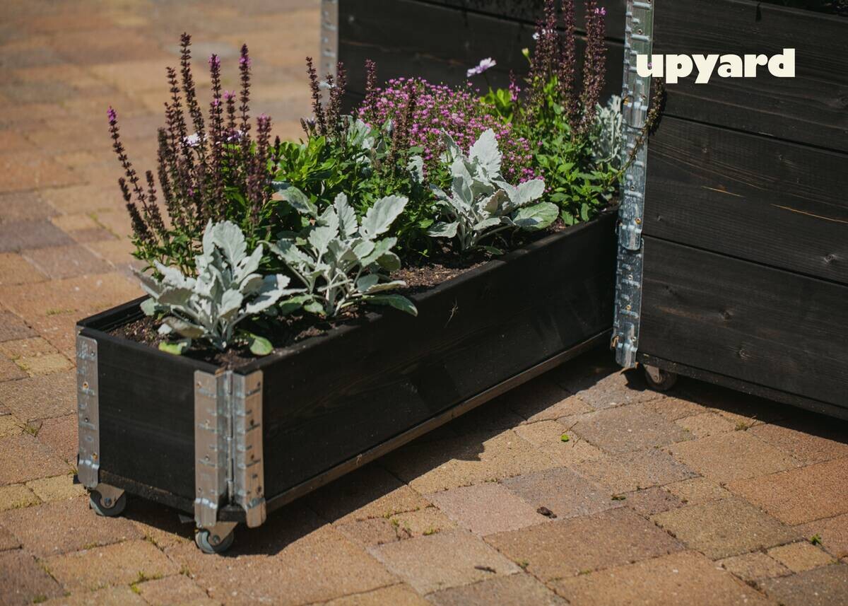 UPYARD Kräuterkasten INDUSTRIAL schwarz Holz B/L: ca. 30x80 cm