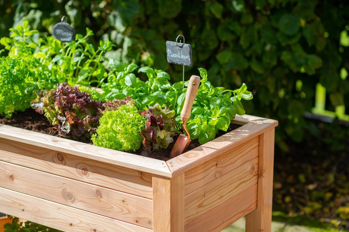 Westmann Stelzenhochbeet natur Holz B/H/T: ca. 120x75x65 cm